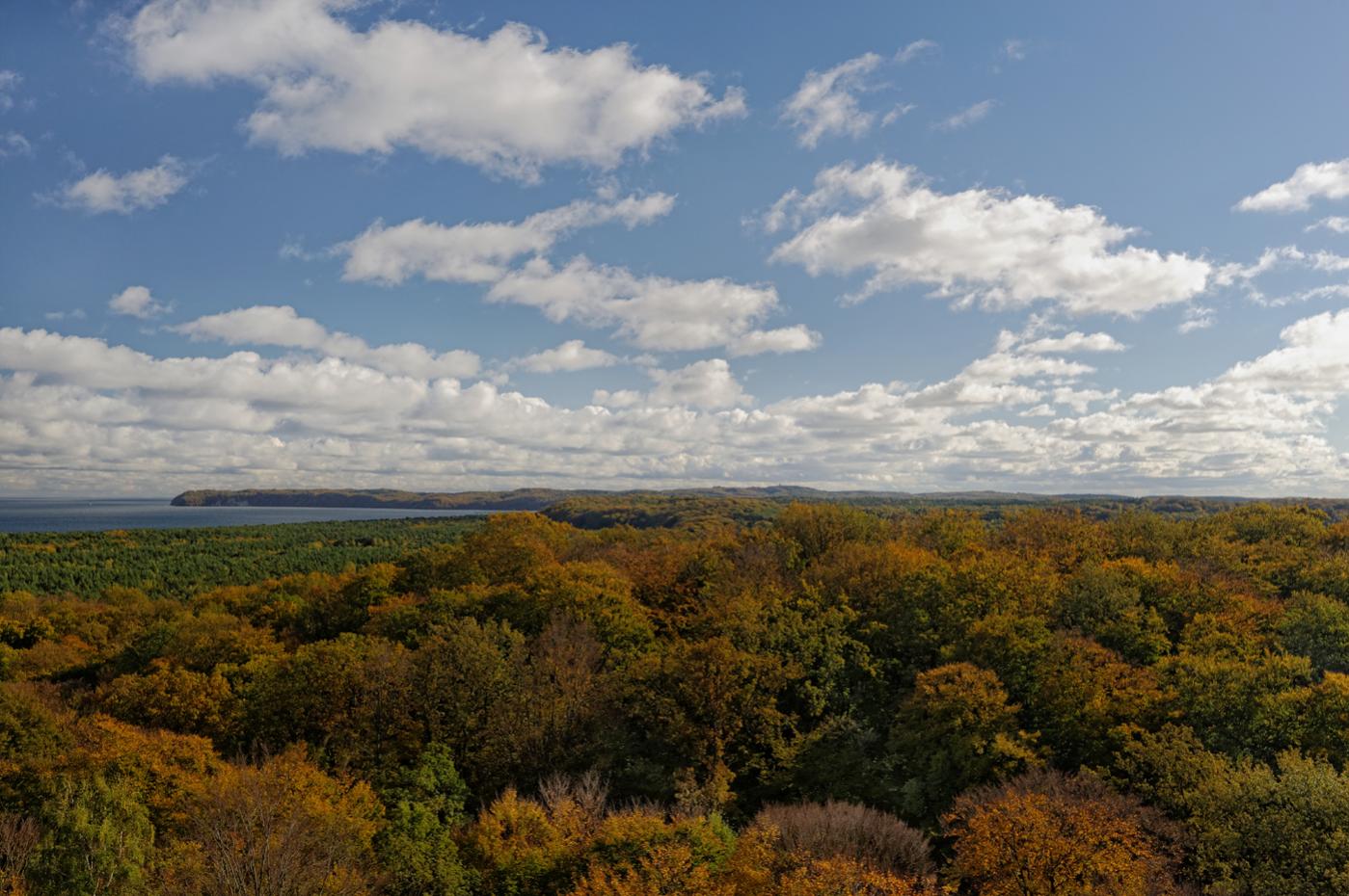 dsc_0564_dxo-jpg.371945