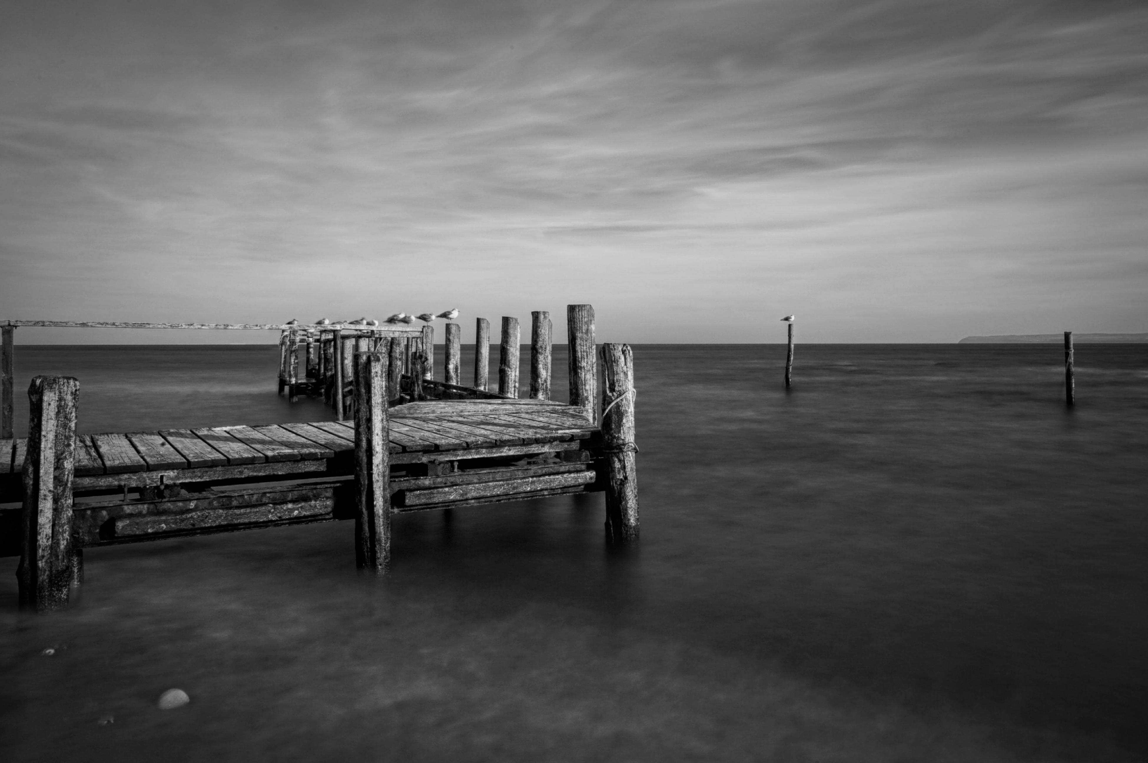 dsc_0617_dxo-kopie-jpg.374814