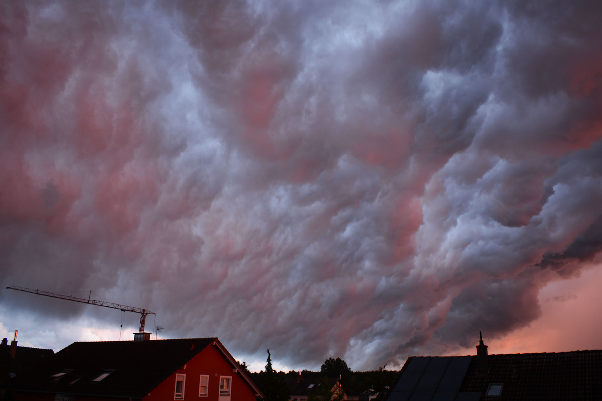 DSC_0622.jpg