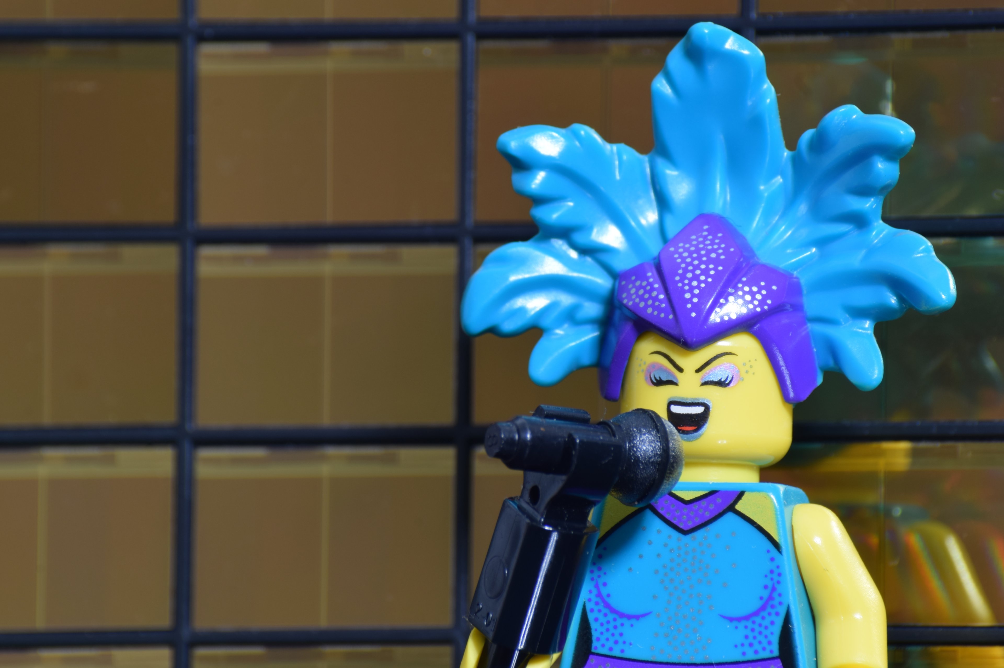 DSC_0814 - Kopie.JPG