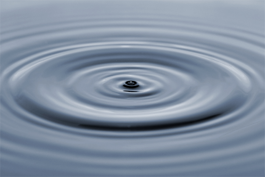 dsc_4182_f-jpg.232204