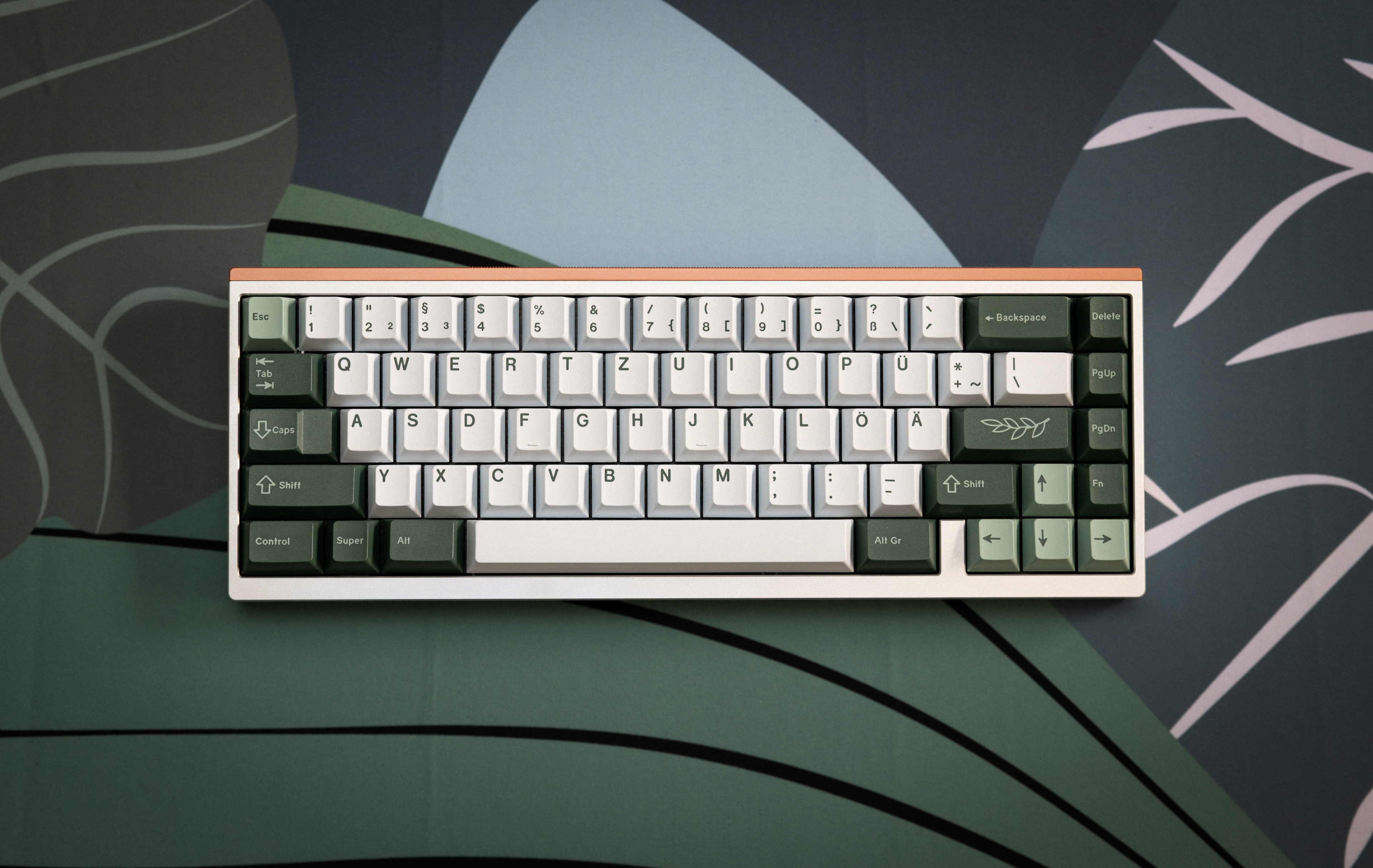 DSC_4367-DxO_DeepPRIME XD2s_XD.jpg