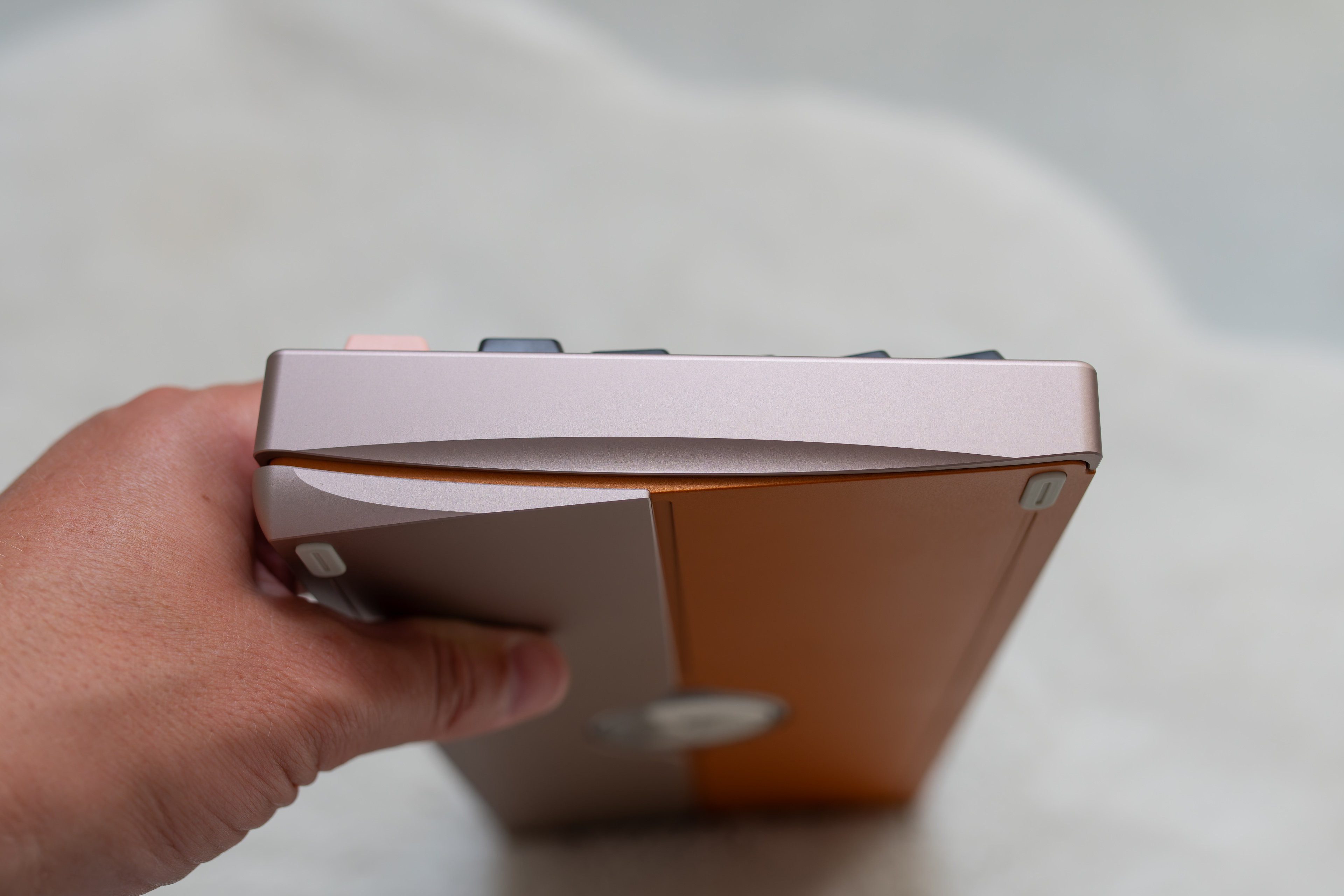 DSC_4434-DxO_DeepPRIME XD2s_XD.jpg