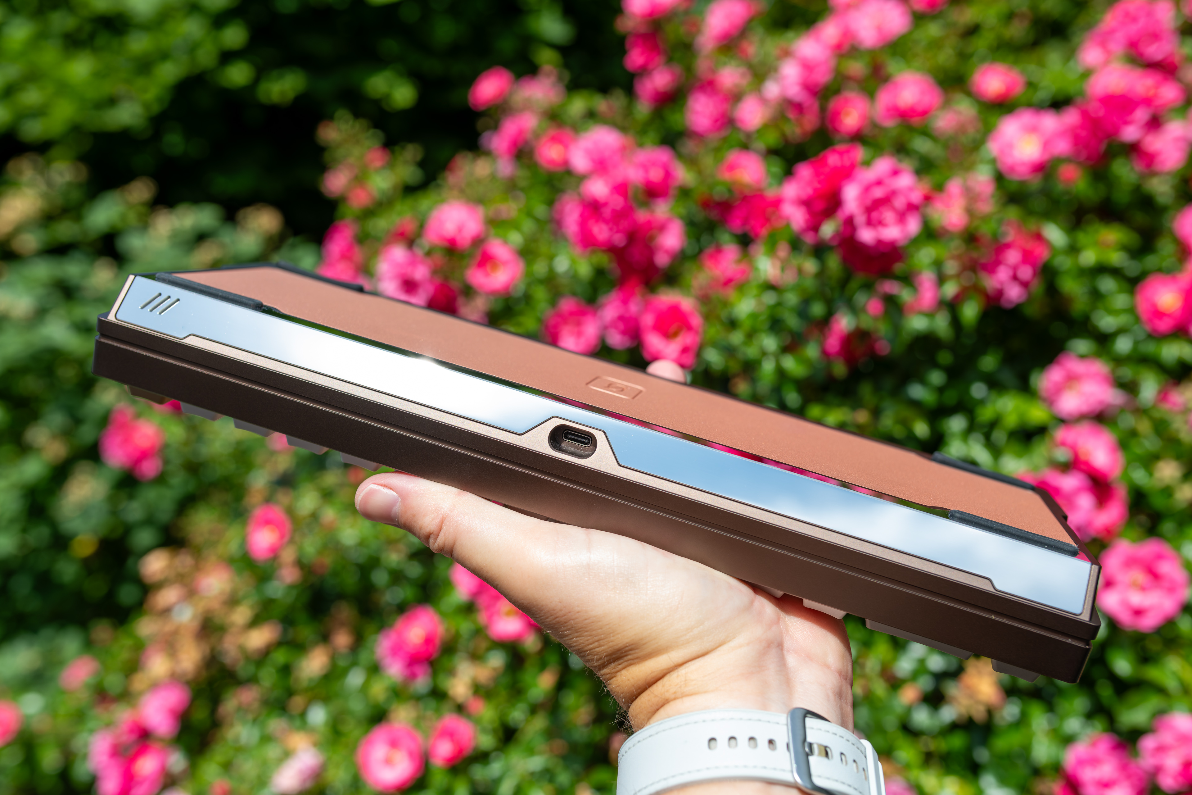 DSC_4472-DxO_DeepPRIME XD2s_XD.jpg