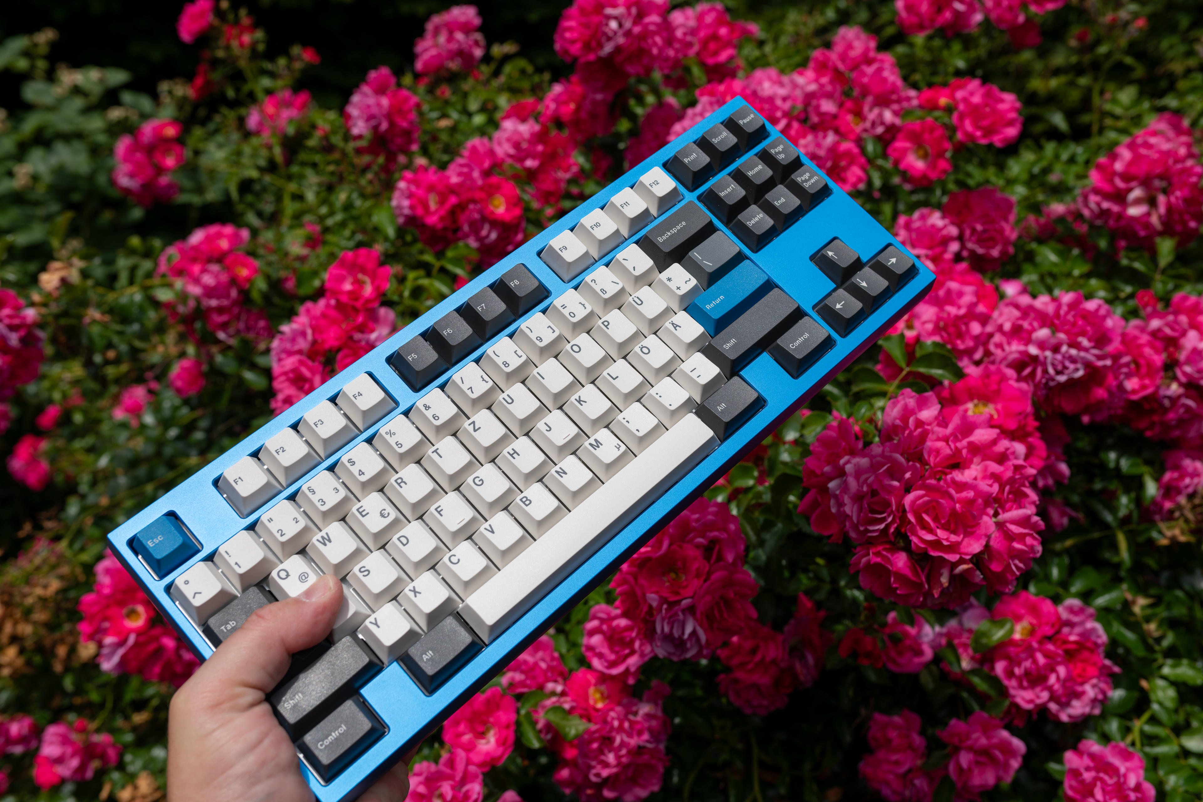 DSC_4551-DxO_DeepPRIME XD2s_XD.jpg