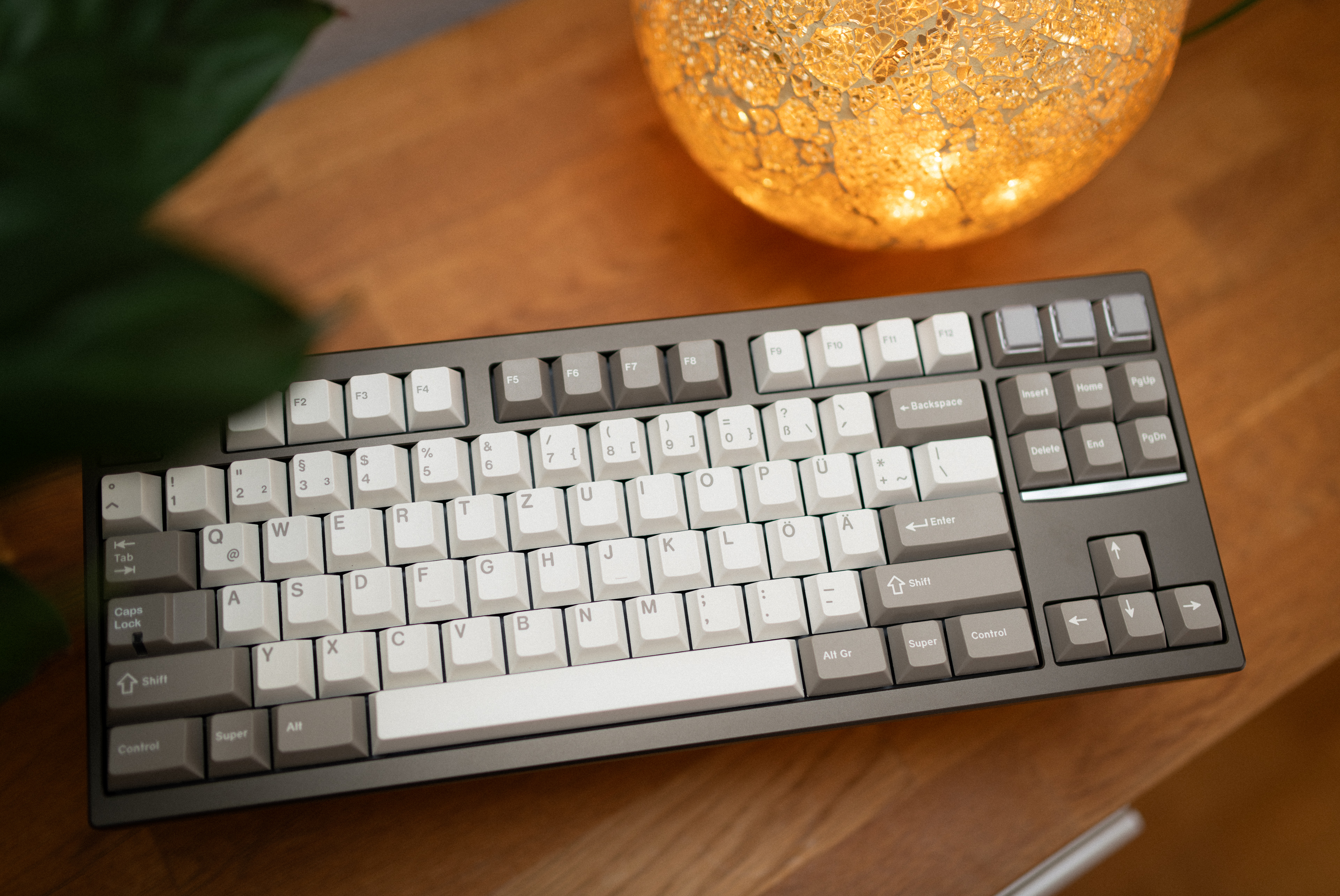 DSC_4597-DxO_DeepPRIME XD2s_XD.jpg