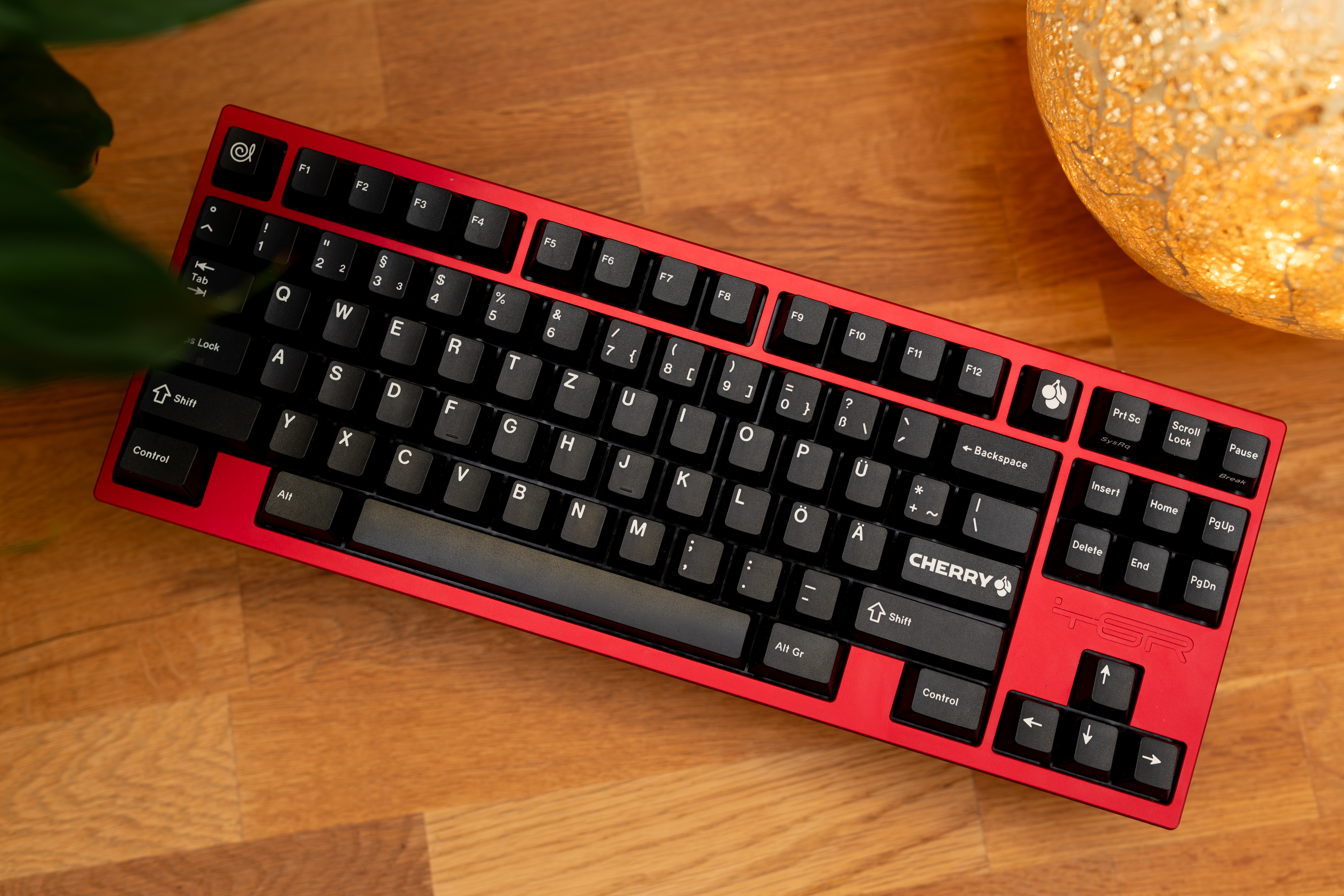 DSC_4758-DxO_DeepPRIME XD2s_XD.jpg