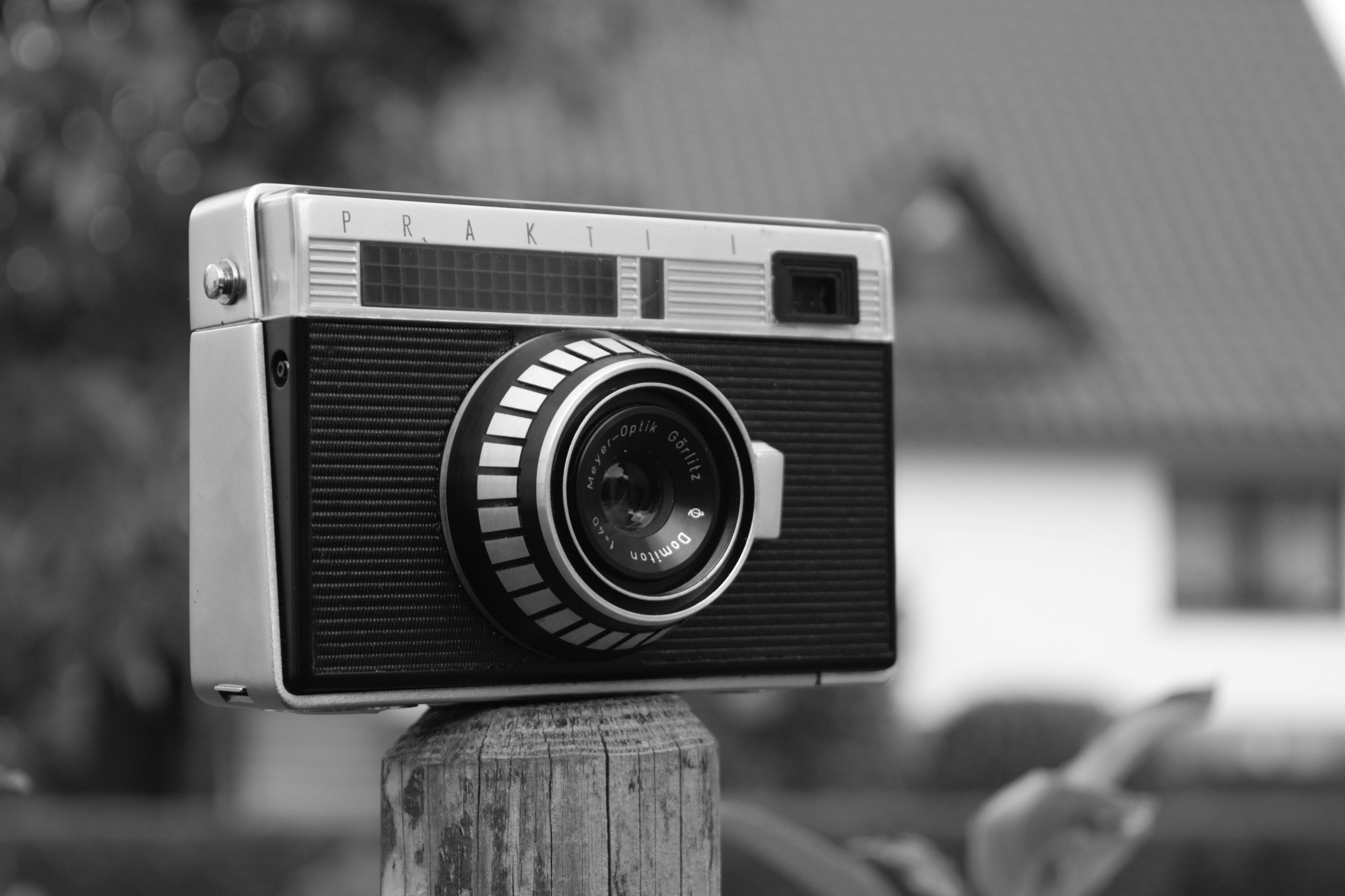 DSC_9673 s-w klein.jpg