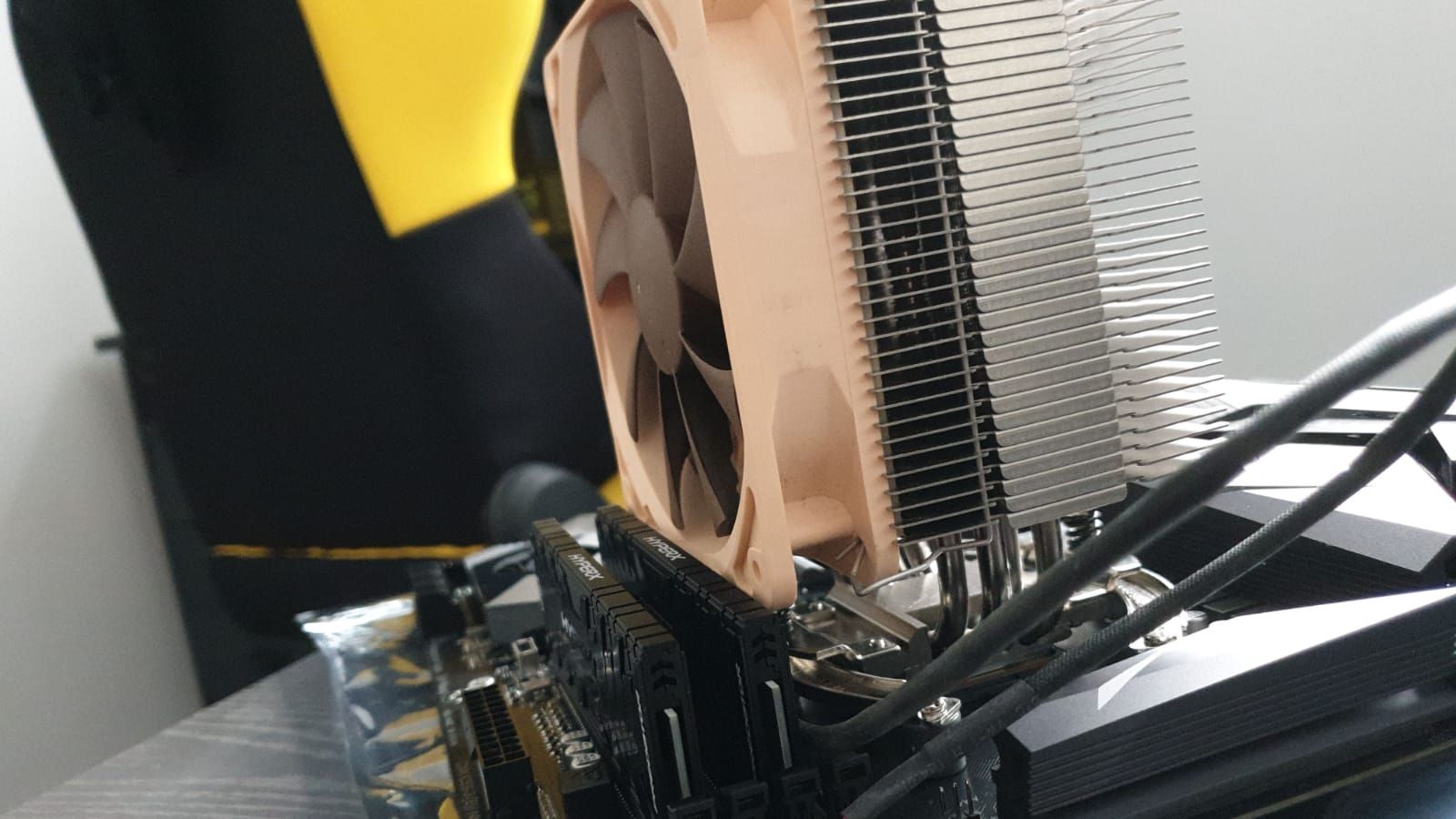 eae36a33-a234-4fbc-8fa7-24af8b677d3c (1).jpg