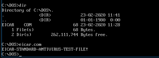 eicar-dos.png