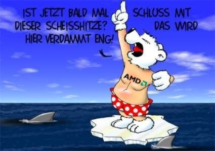 eisbaer-auf-der-scholle-jpg.182915