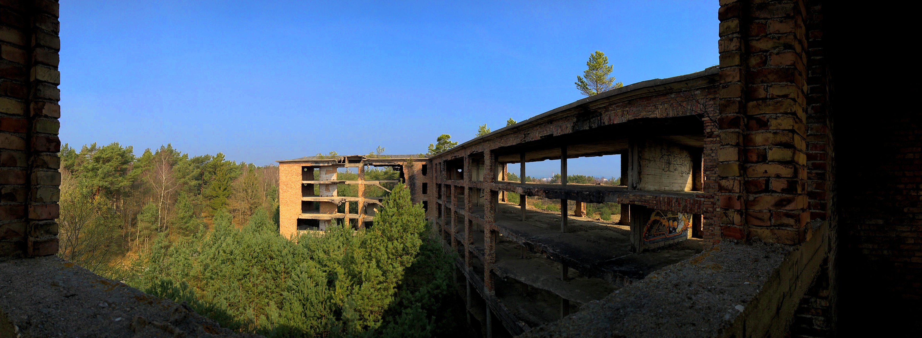 Elvis rockt die Bude.jpg