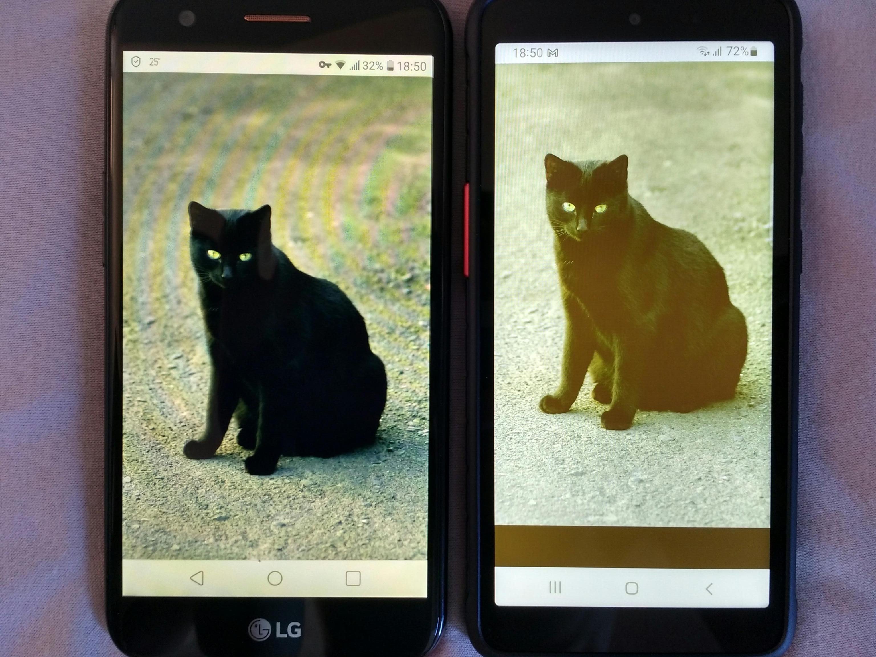 Eye Comfort Shield.jpeg