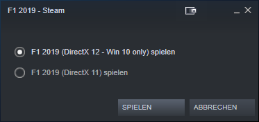 f1-2019-directx-11-starten-aktuellstesSteam.png