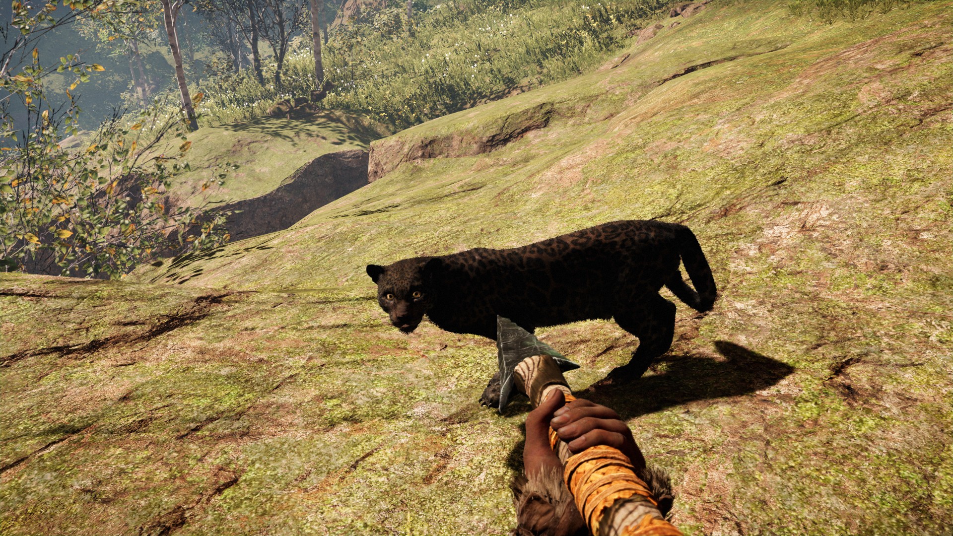 Far Cry Primal2024-6-16-20-3-33.jpg