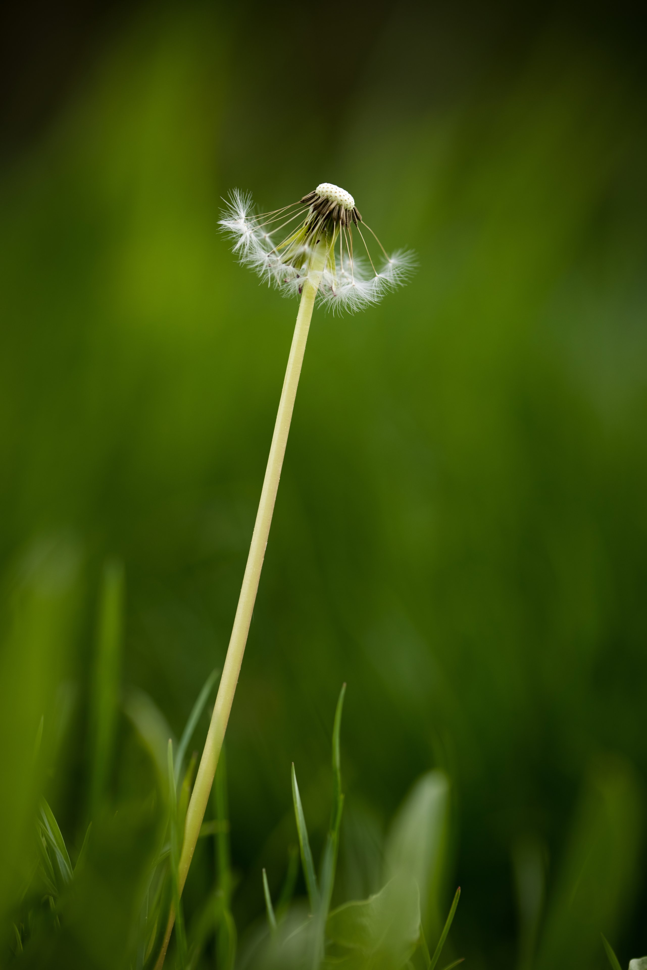 fgjfgjdsfsfhs (331) Kopie.jpg