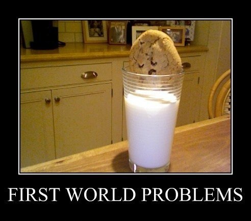 First World Problem.jpg