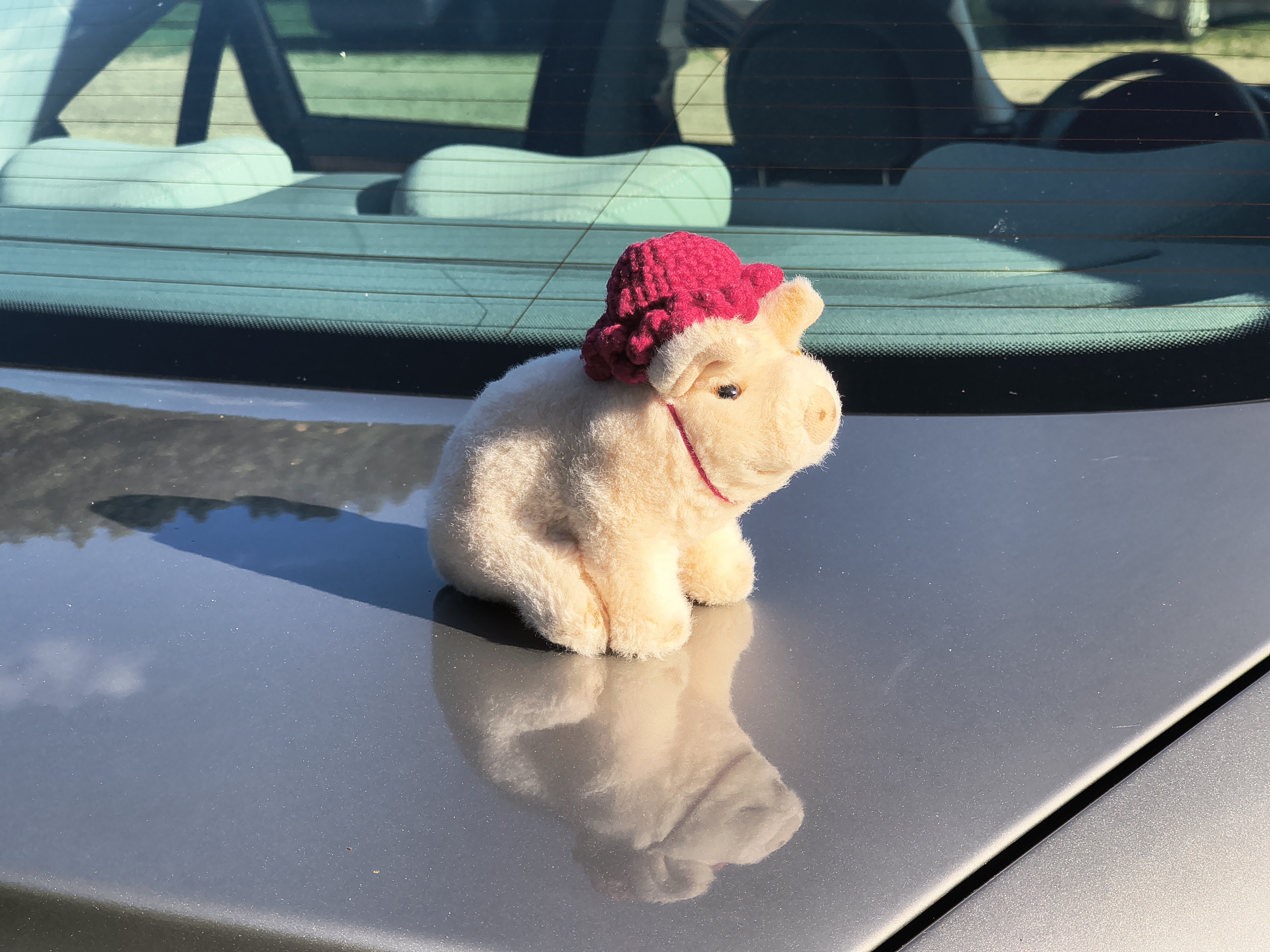 Fischer Motorola 2025-09-07 (11).jpg