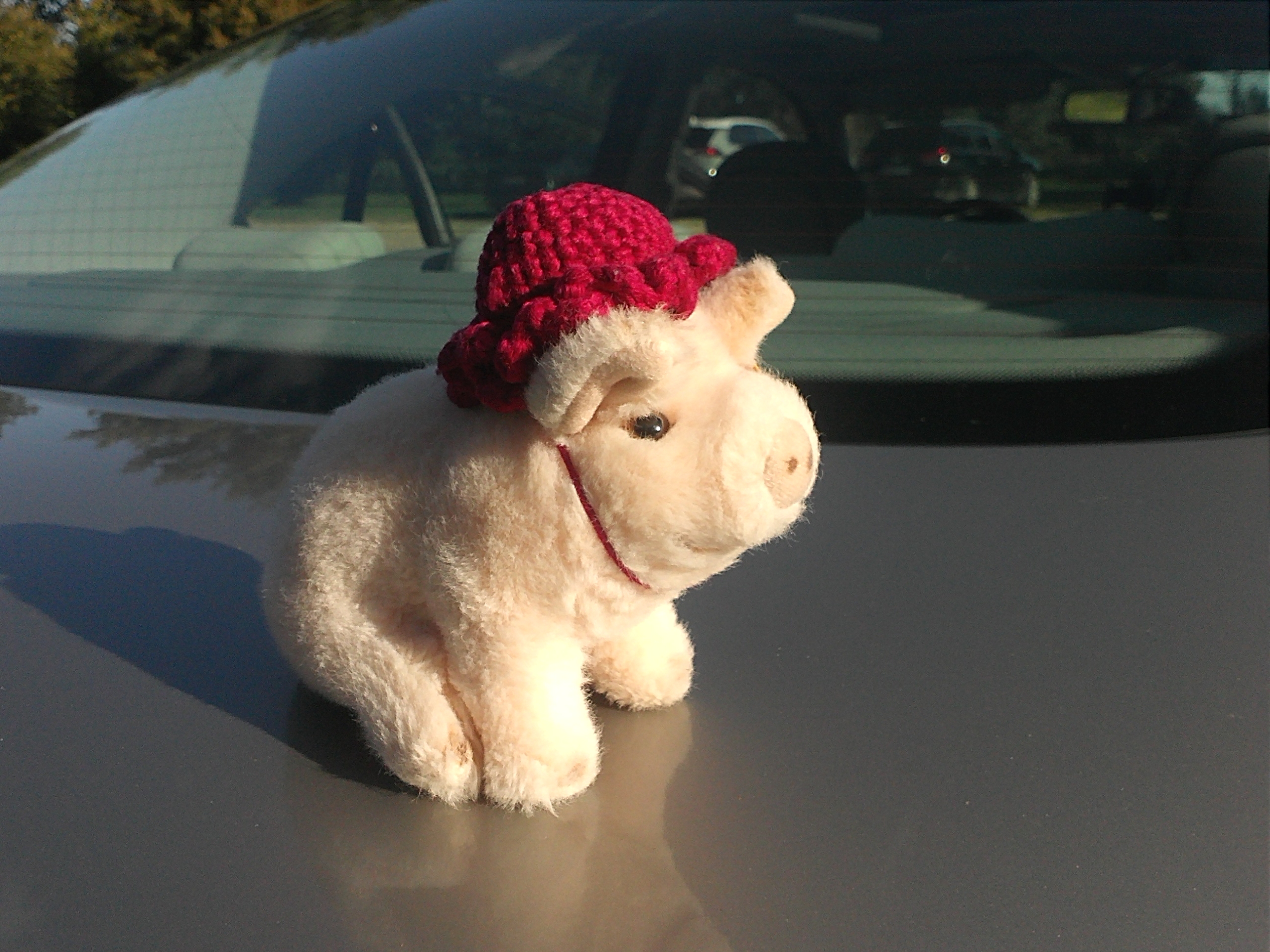 Fischer Test 2025-09-07 (1).jpg