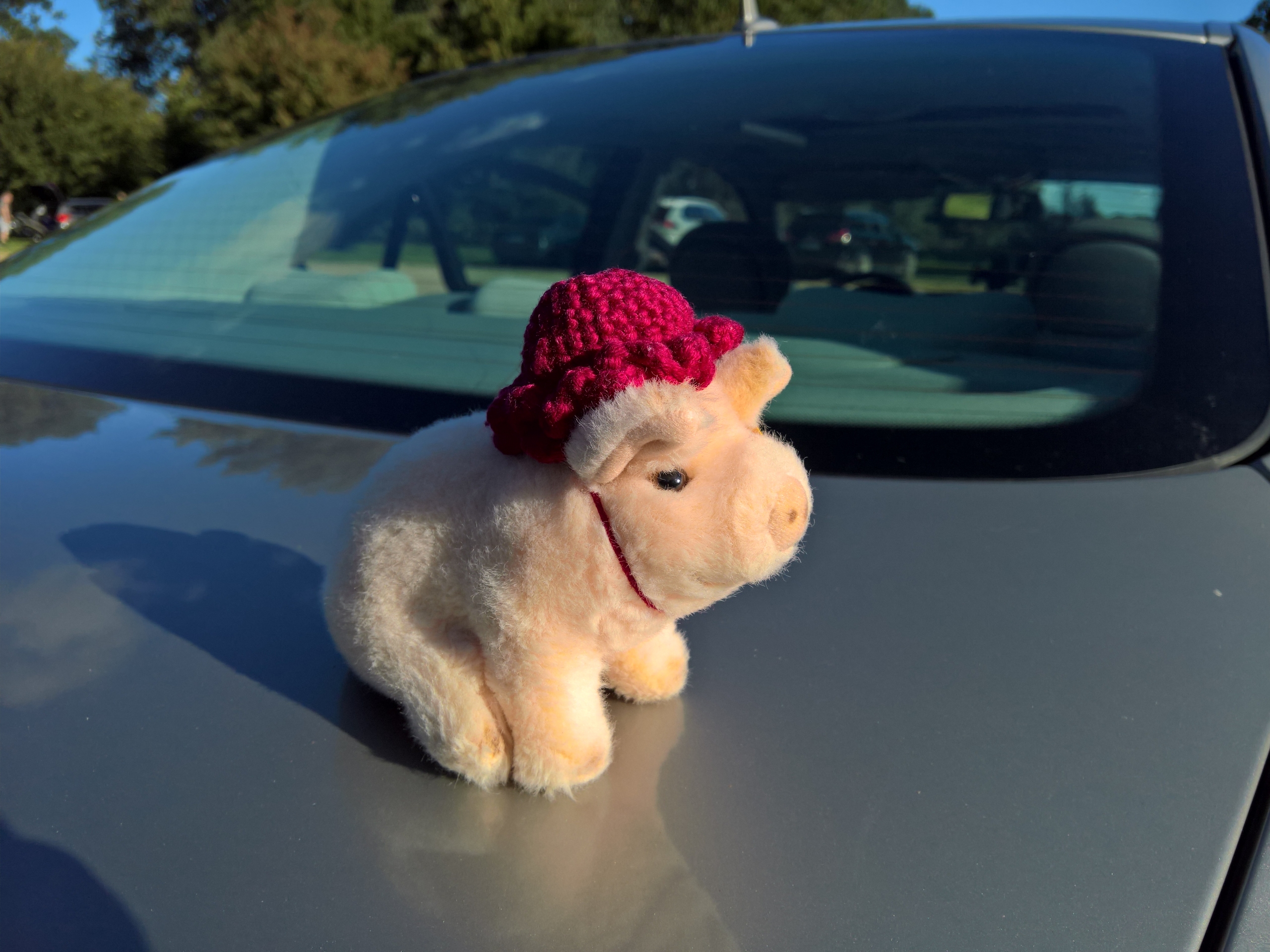 Fischer Test 2025-09-07 (2).jpg