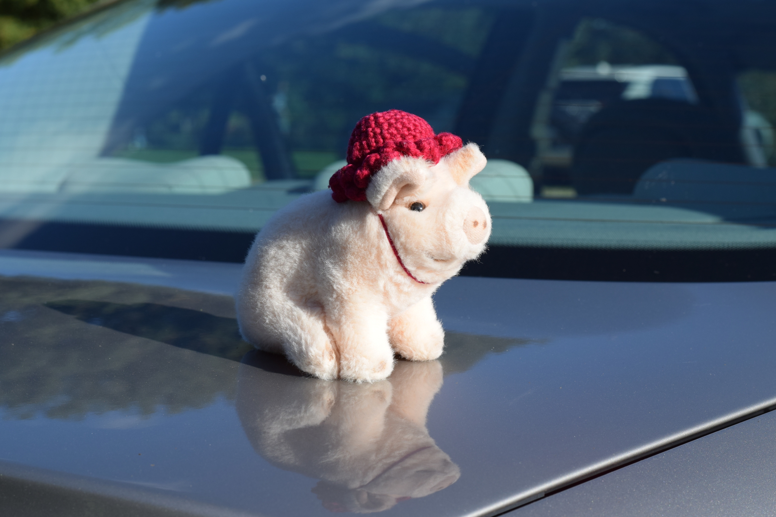 Fischer Test 2025-09-07 (3).JPG