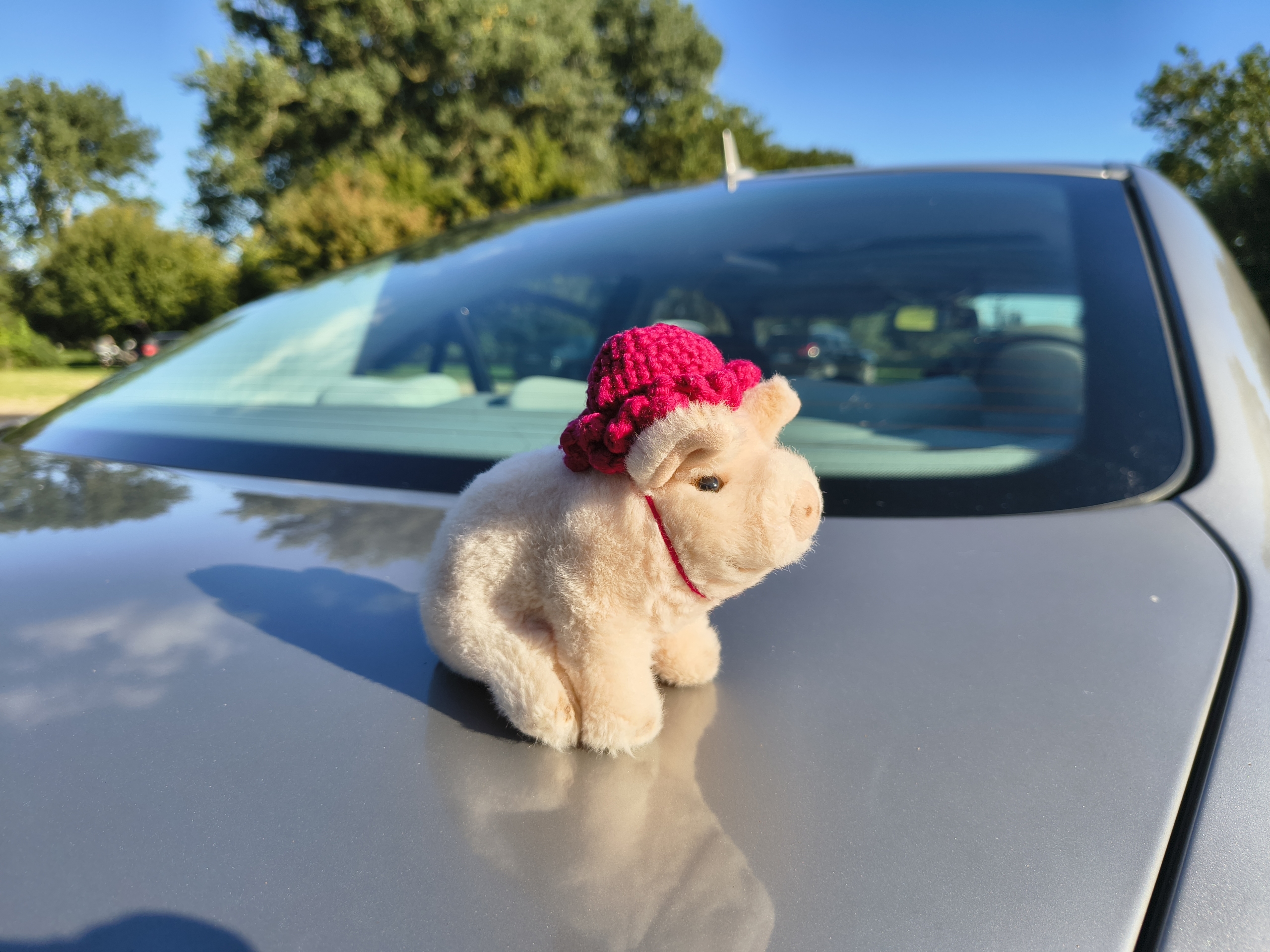 Fischer Test 2025-09-07 (5).jpg