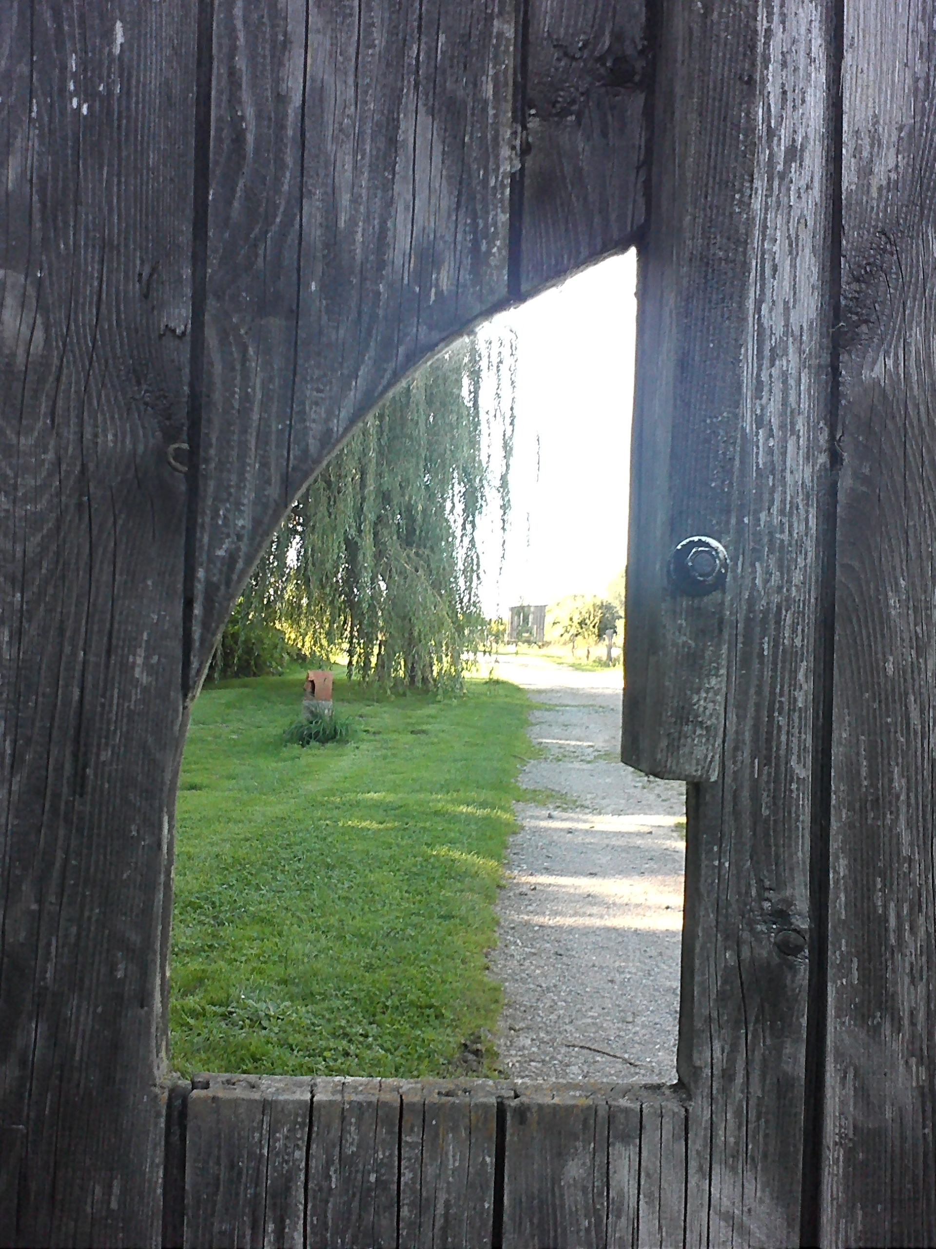 Fischer Test II 2025-09-07 (1).jpg