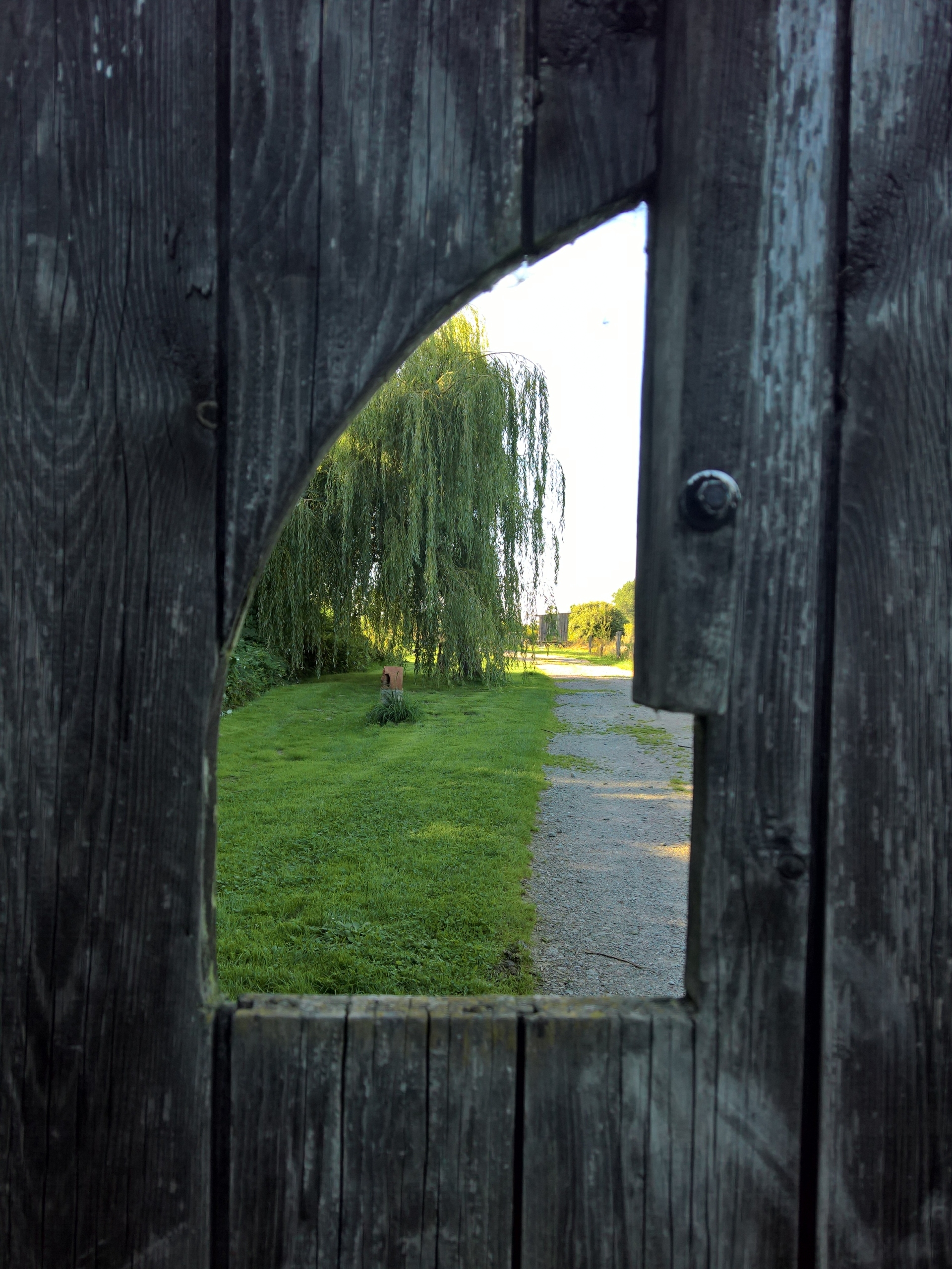 Fischer Test II 2025-09-07 (2).jpg