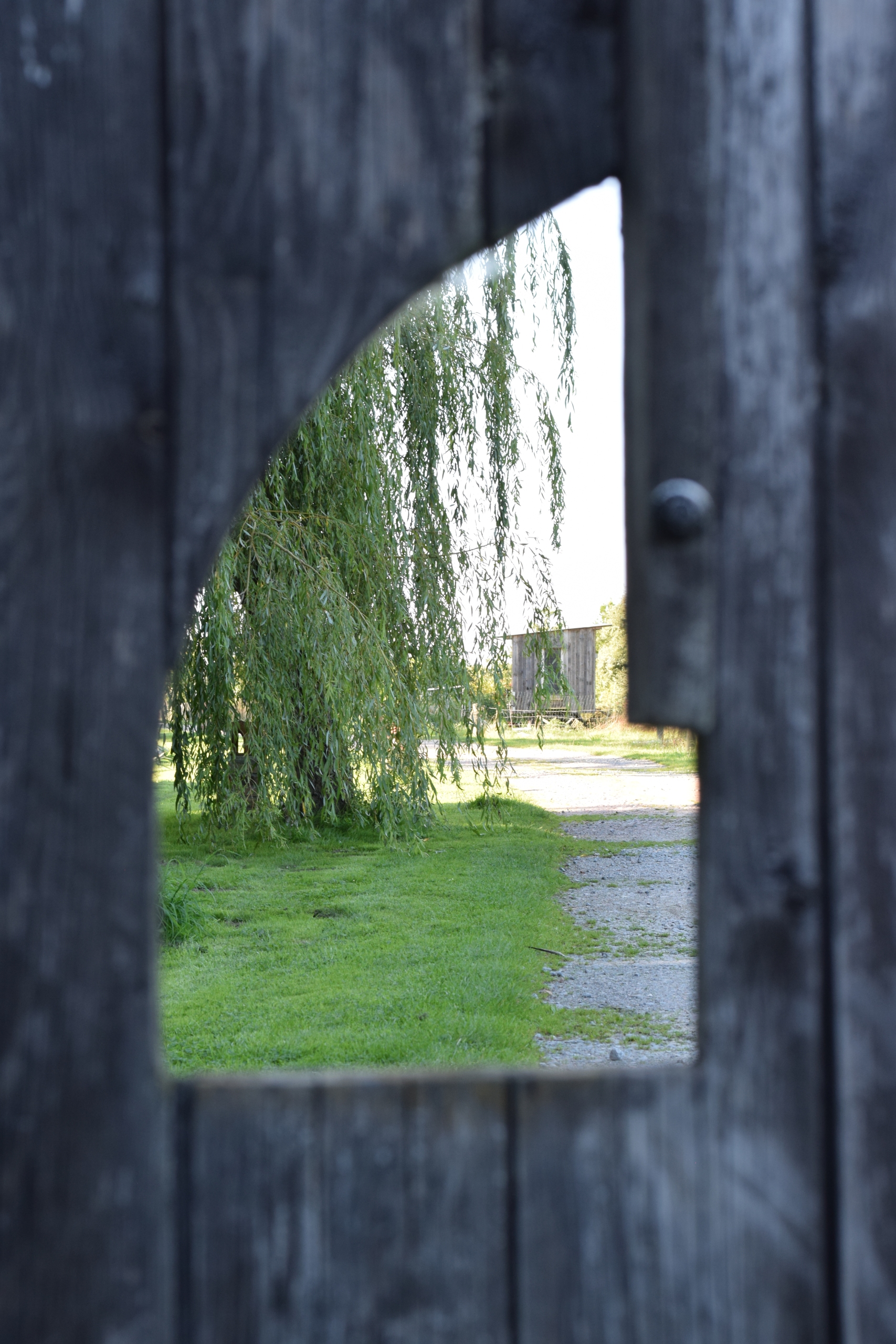 Fischer Test II 2025-09-07 (3).JPG