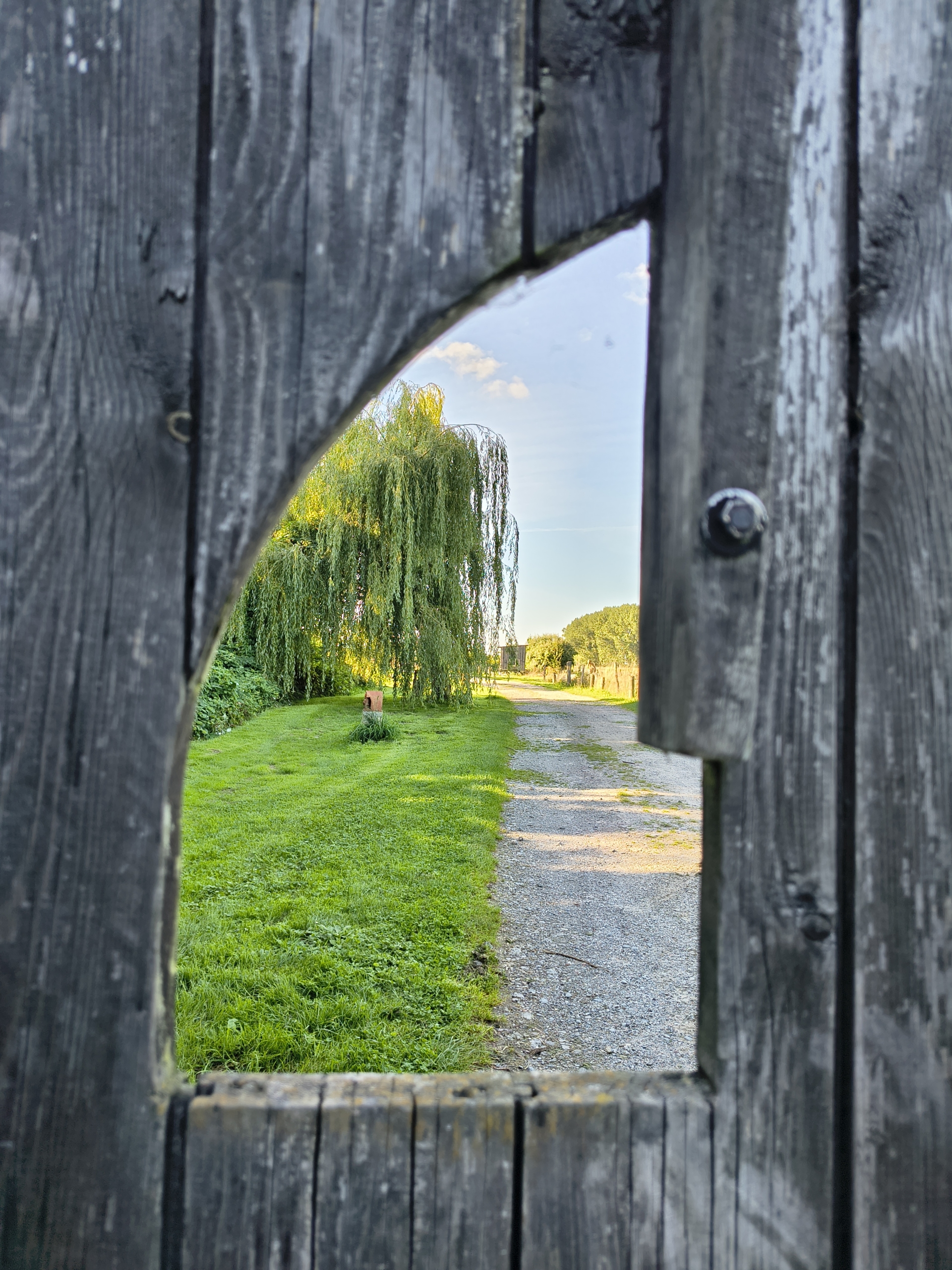 Fischer Test II 2025-09-07 (5).jpg