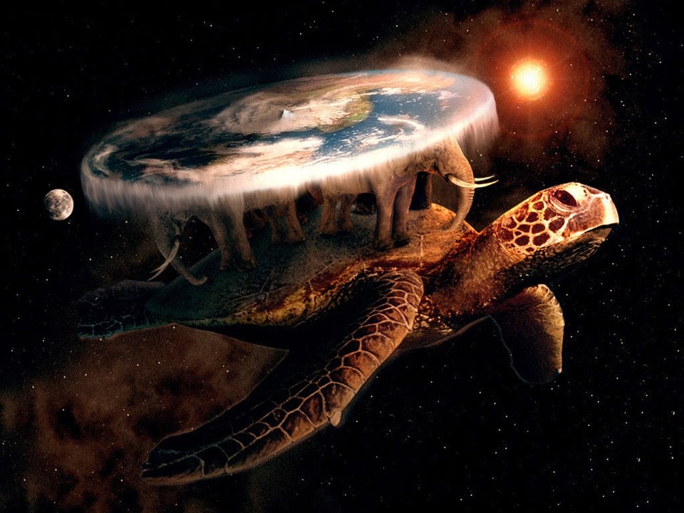 Flat World Turtle totatly real photo non fake.jpg