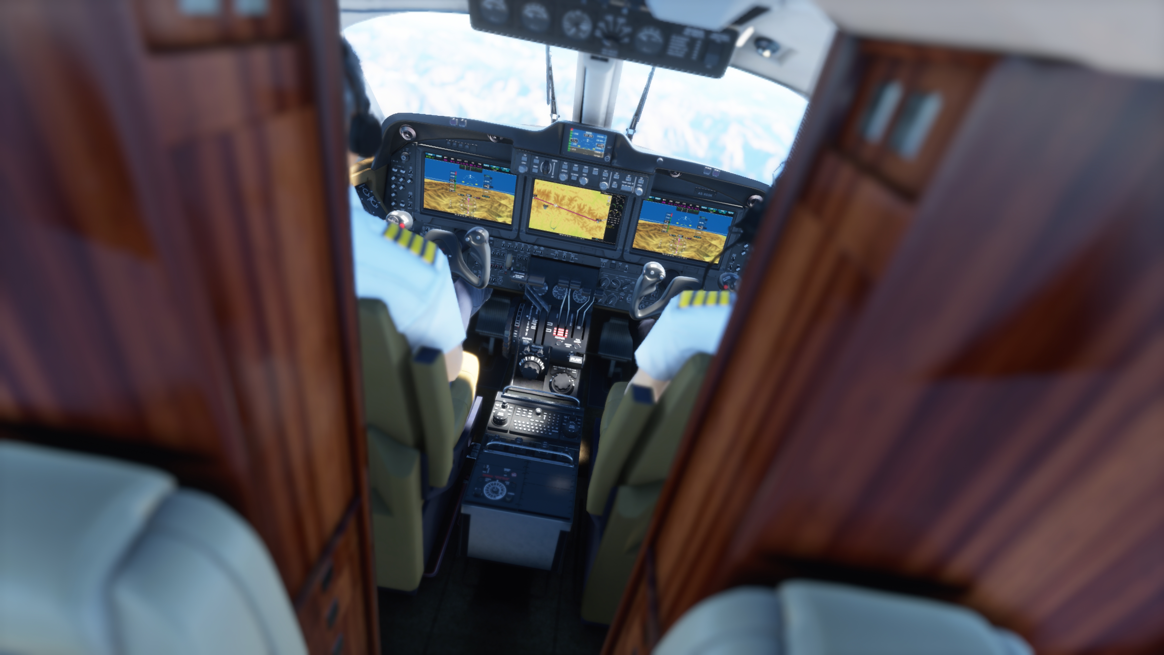 FlightSimulator_2020_08_28_10_58_44_826.jpg