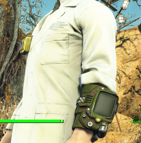 FO4Pipboy.png