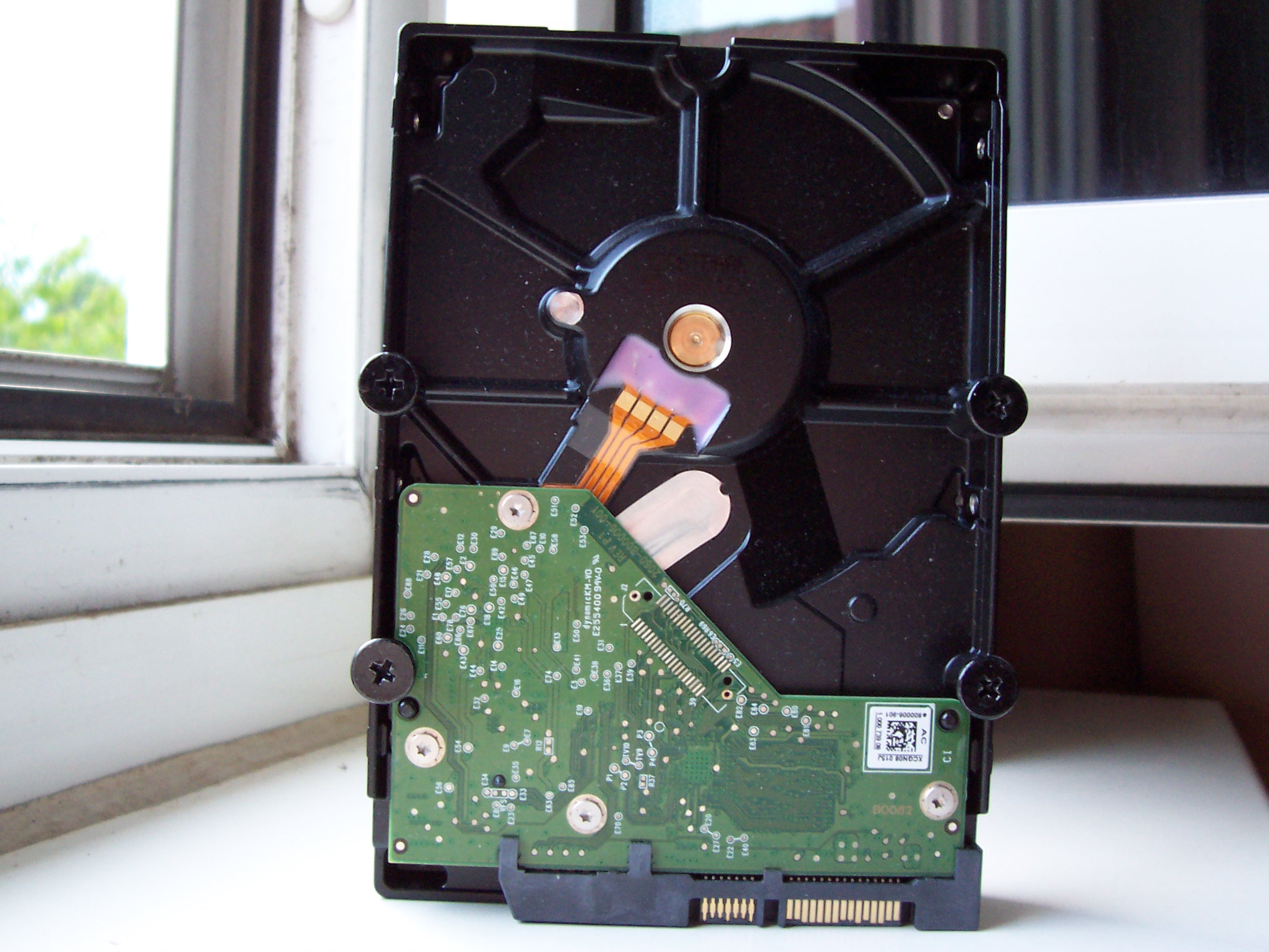 foto wd red rückseite.JPG