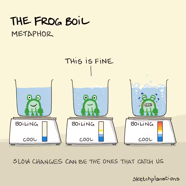 frog+boil.png