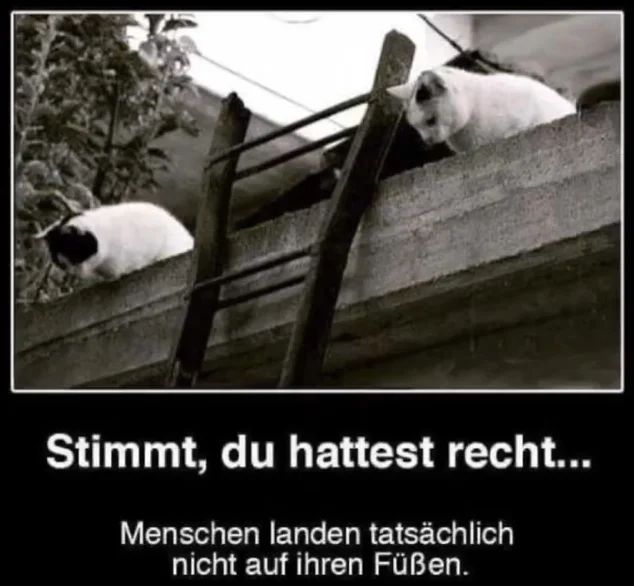 fuesse.jpg