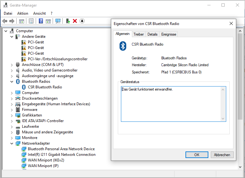 Gerätemanager nach Treiber.PNG