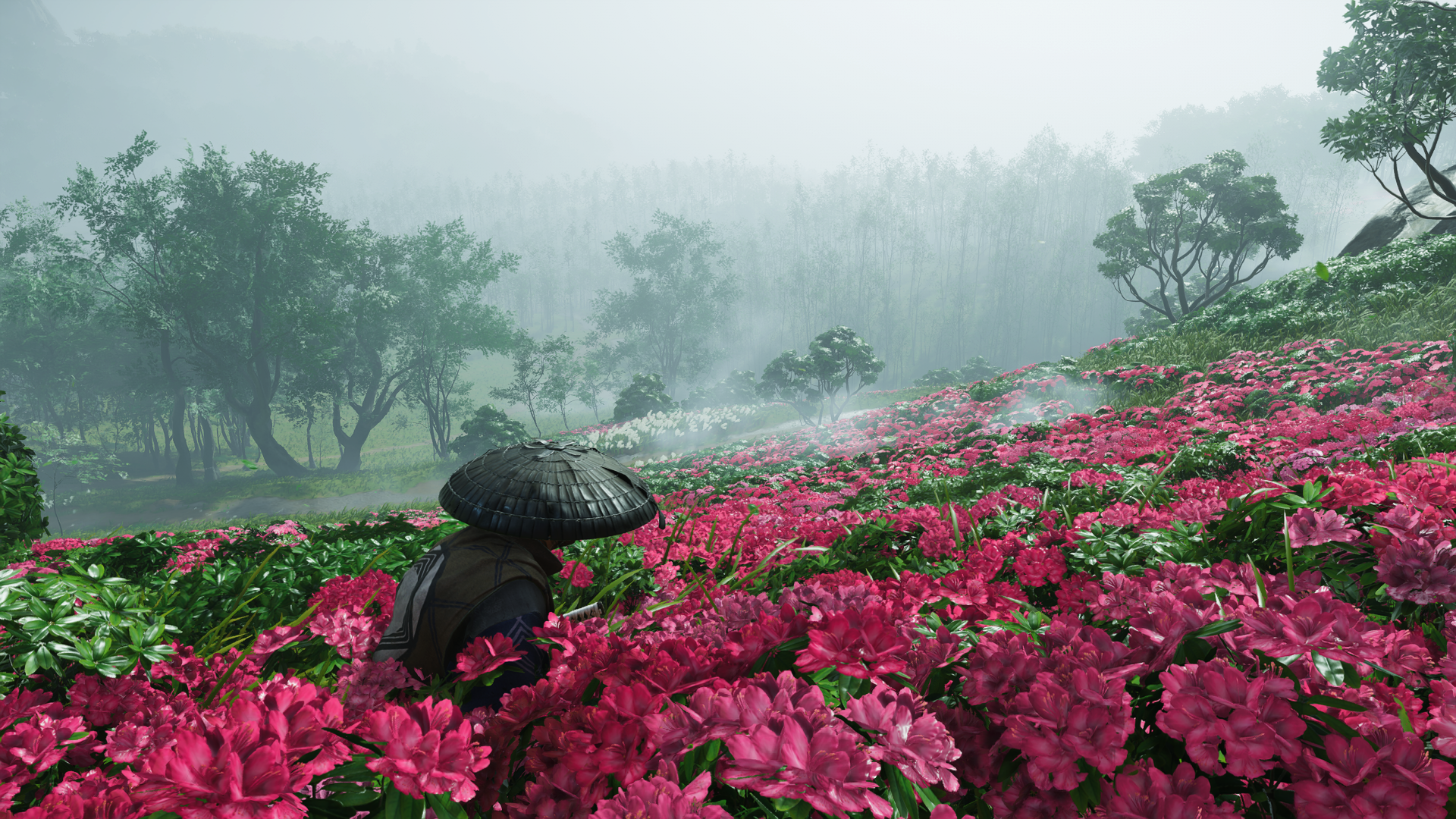 GhostOfTsushima_2026_06_30_22_26_35_696.png