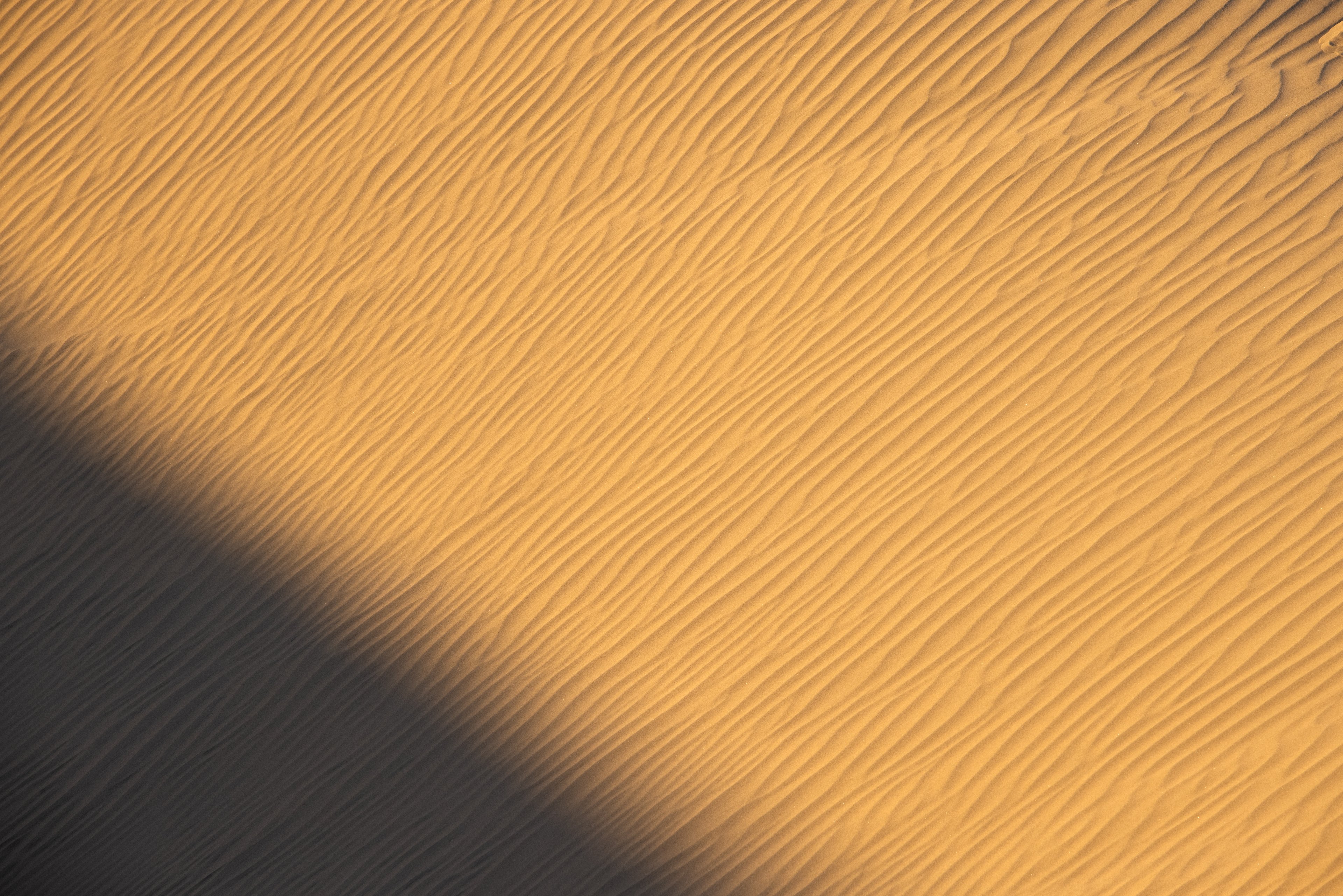 gjlgjklökä# (1115) Kopie.jpg