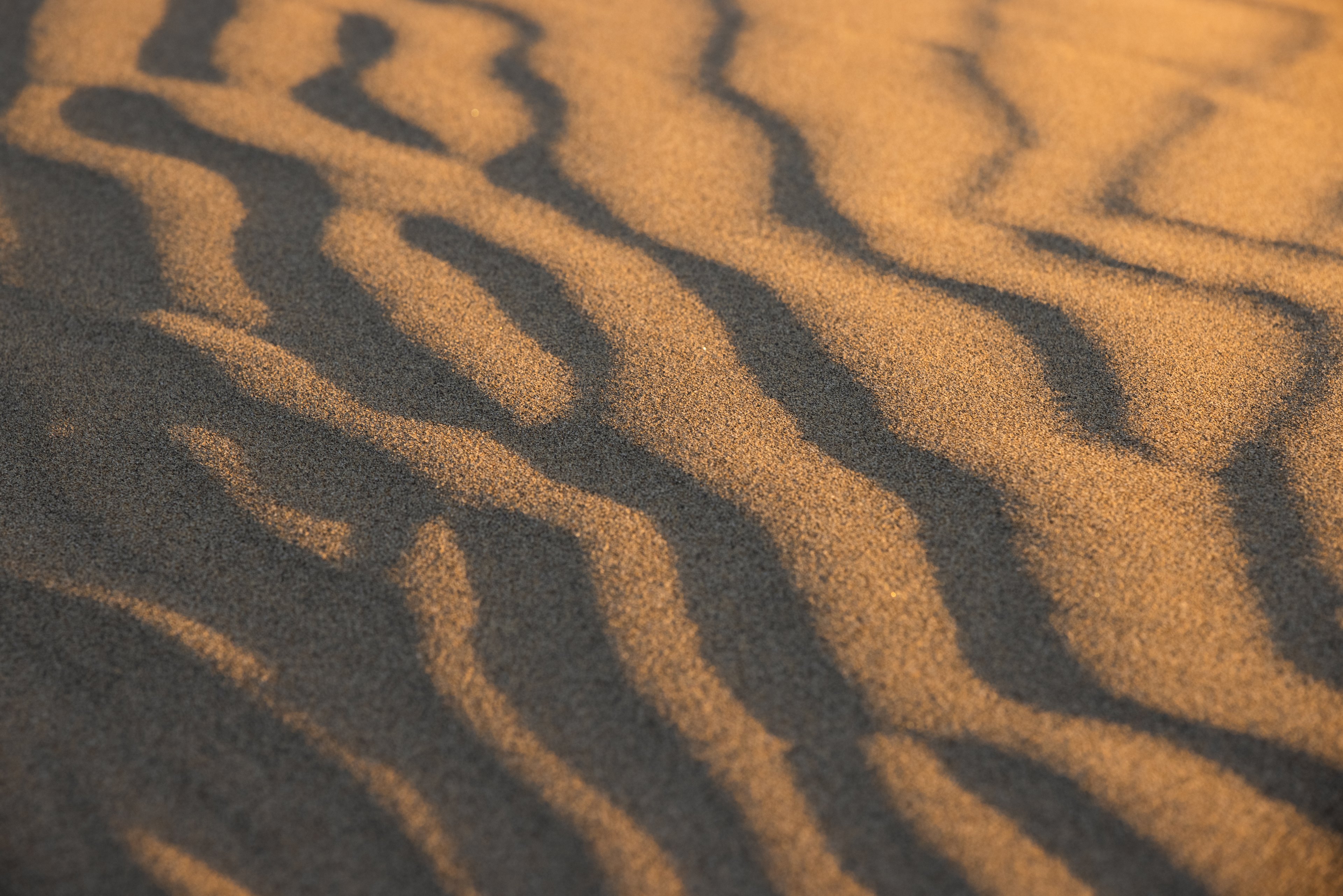 gjlgjklökä# (1206) Kopie.jpg