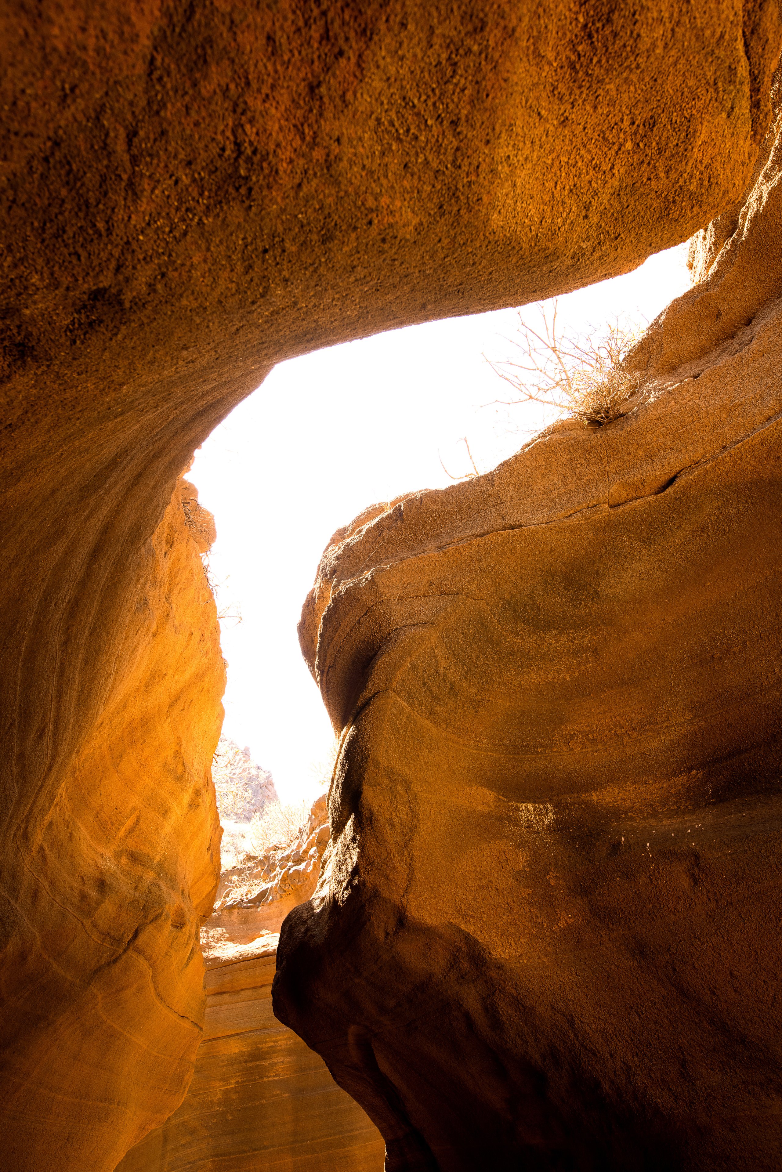 gjlgjklökä# (323) Kopie.jpg