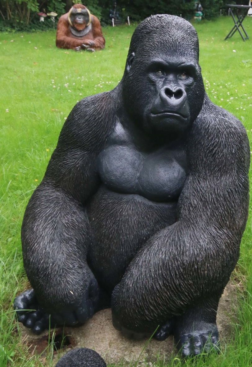 Gorilla.jpg