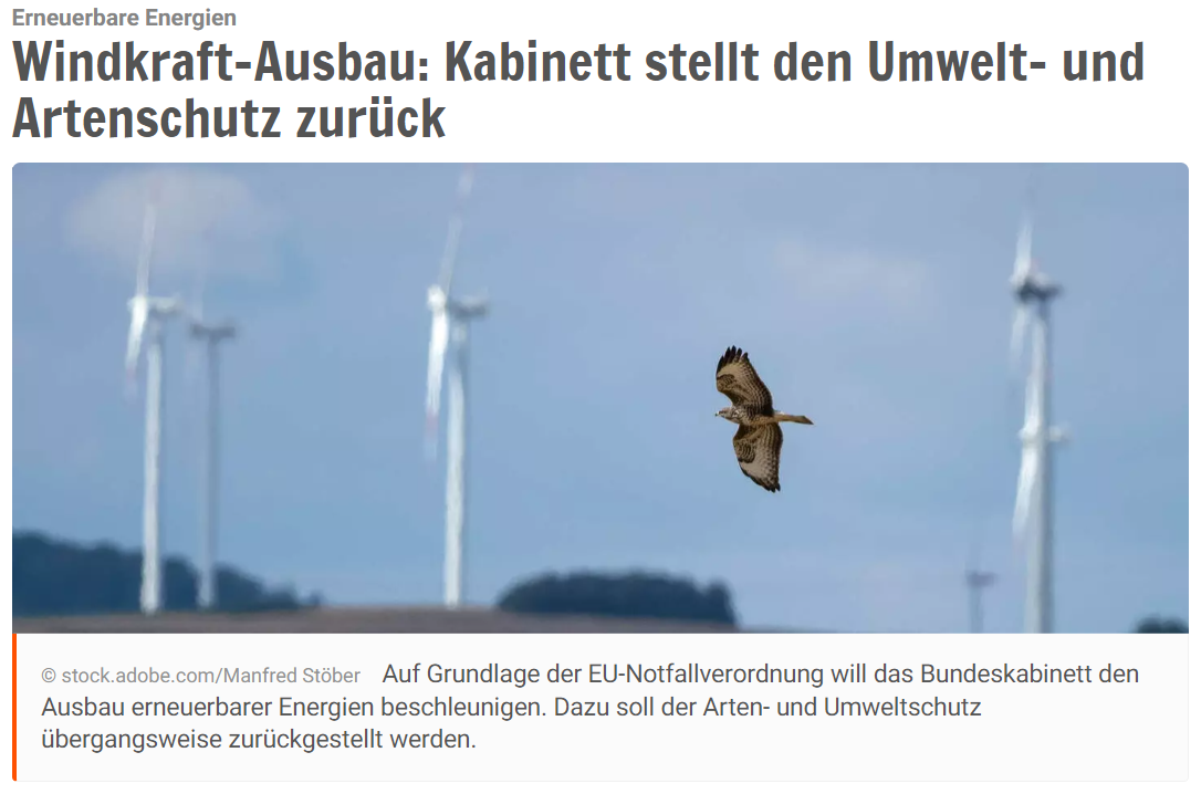 grüne_töten_großvögel.png