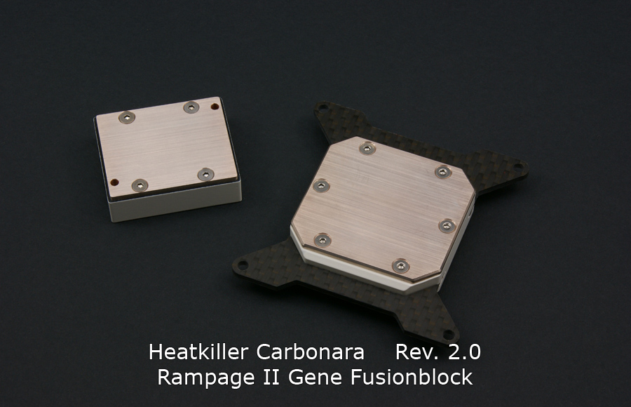 heatkiller-carbon-back-2-jpg.163616