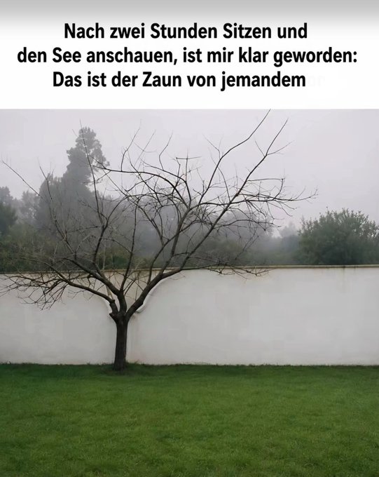 HLlZwk9WIAA8Ysw.jpeg