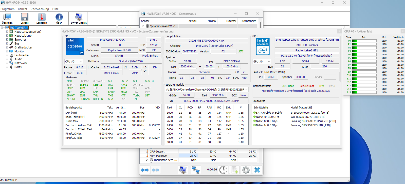HWINFO Screenshot 2023-01-15 220520.png