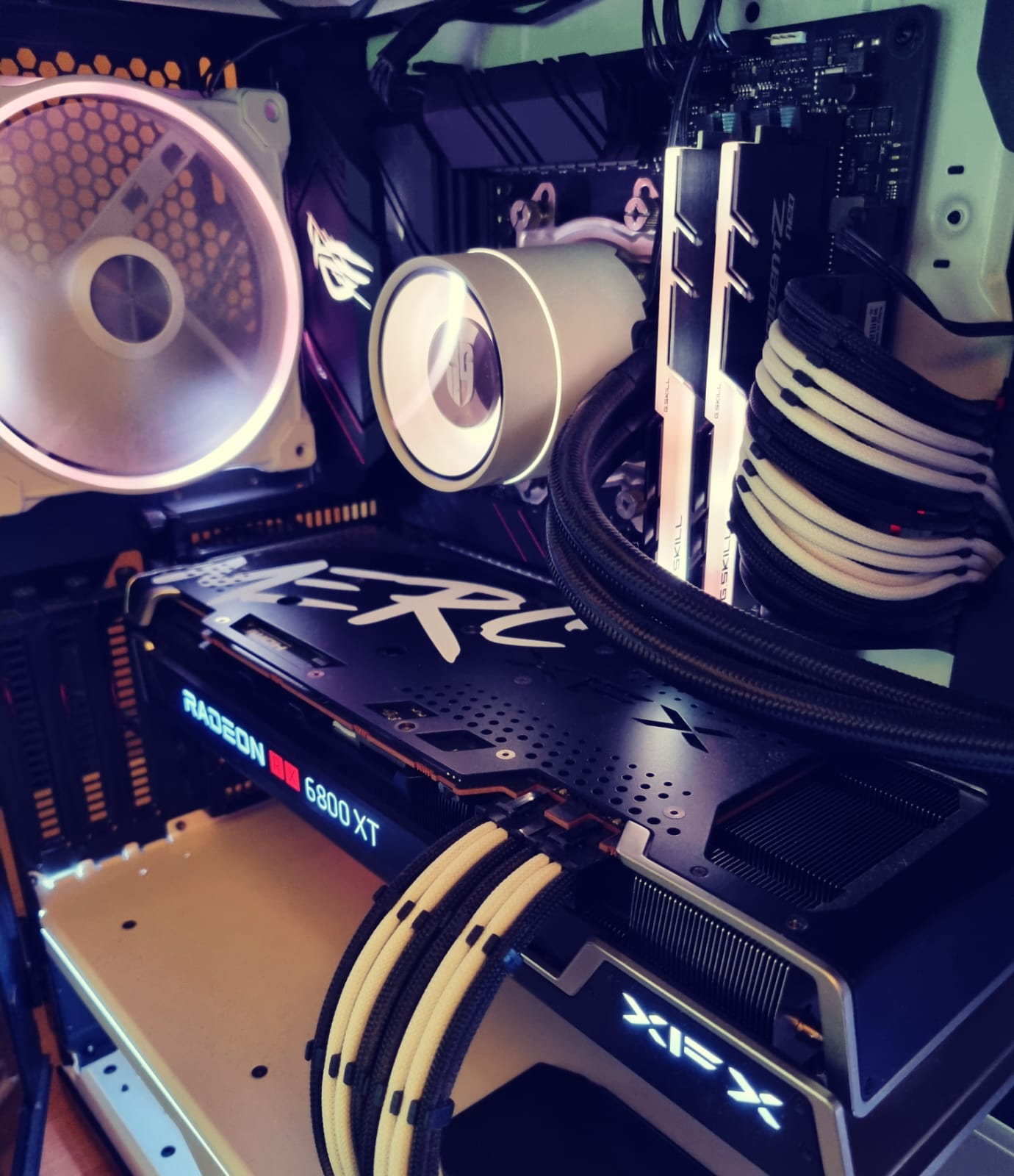 Image 2022-01-27 at 10.09.11.jpeg