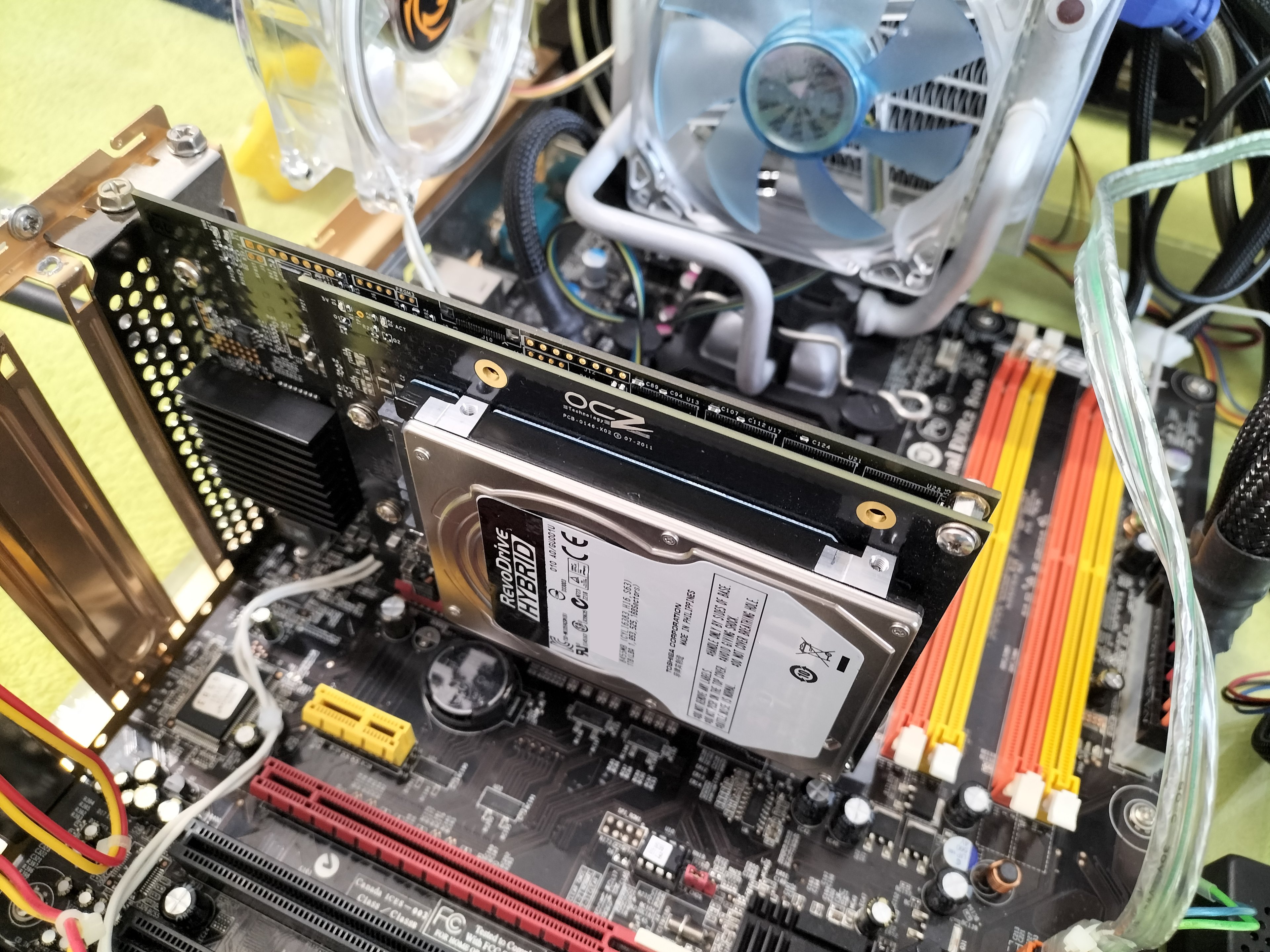 IMG20230318150956 -01.jpg