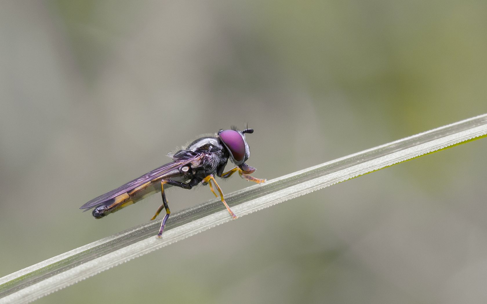 img_0061_3_nb_klein-jpg.289804