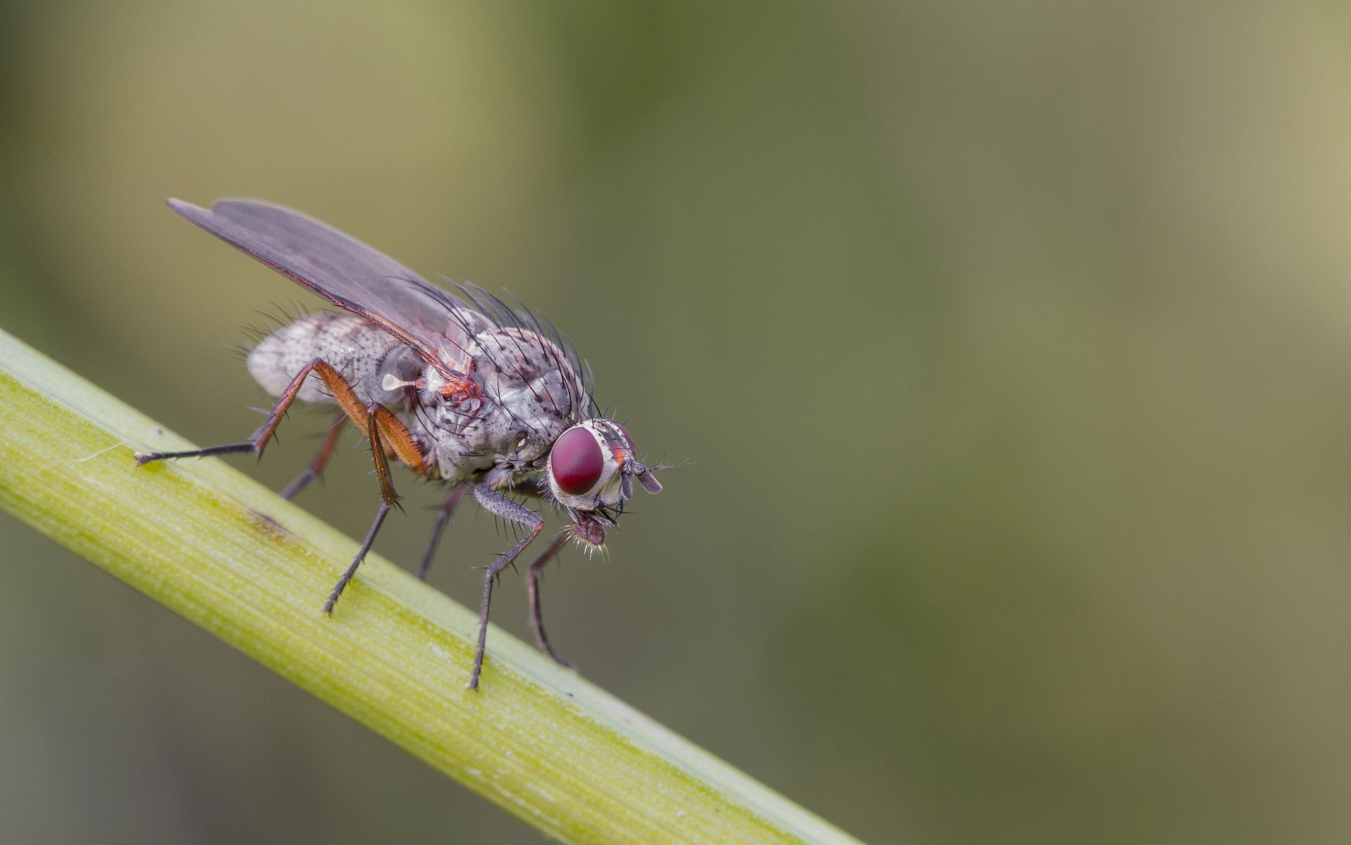 img_0138_nb_klein-jpg.289992